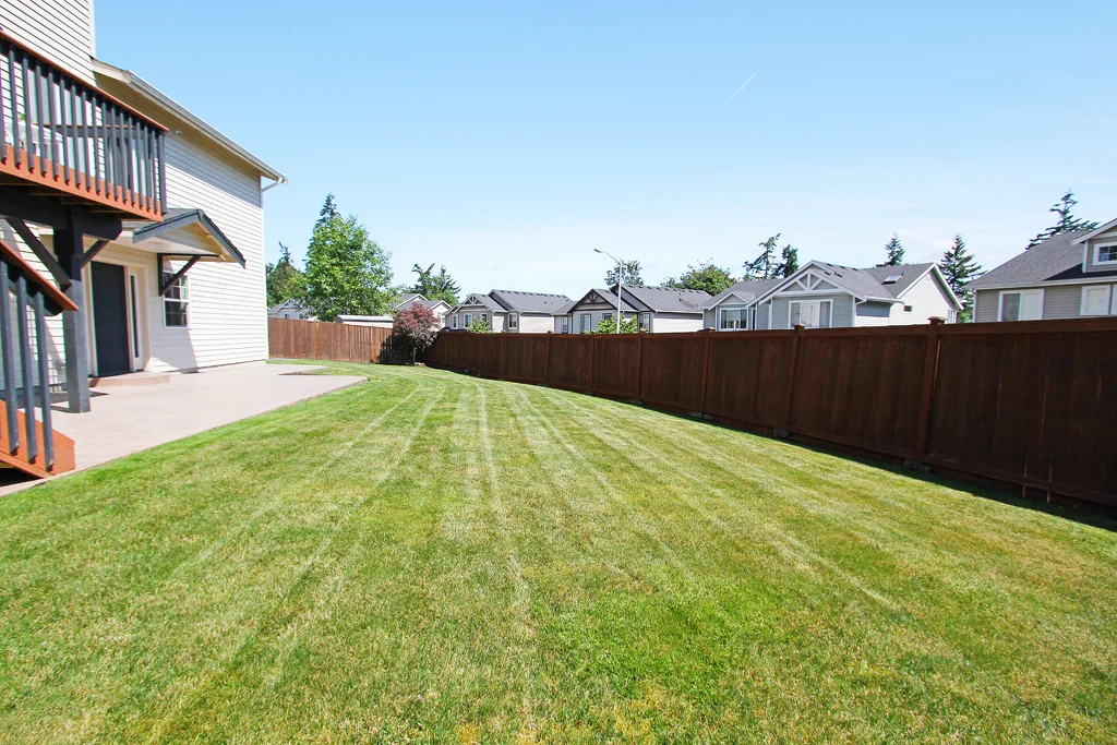 Yard 2 MLS.jpg