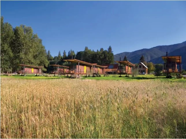The herd at Rolling Huts.IMAGE:&amp;nbsp;CHAD KIRKPATRICK / COURTESY OLSON KUNDIG