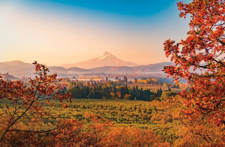 Fall colors and a view of Oregon's Mount Hood