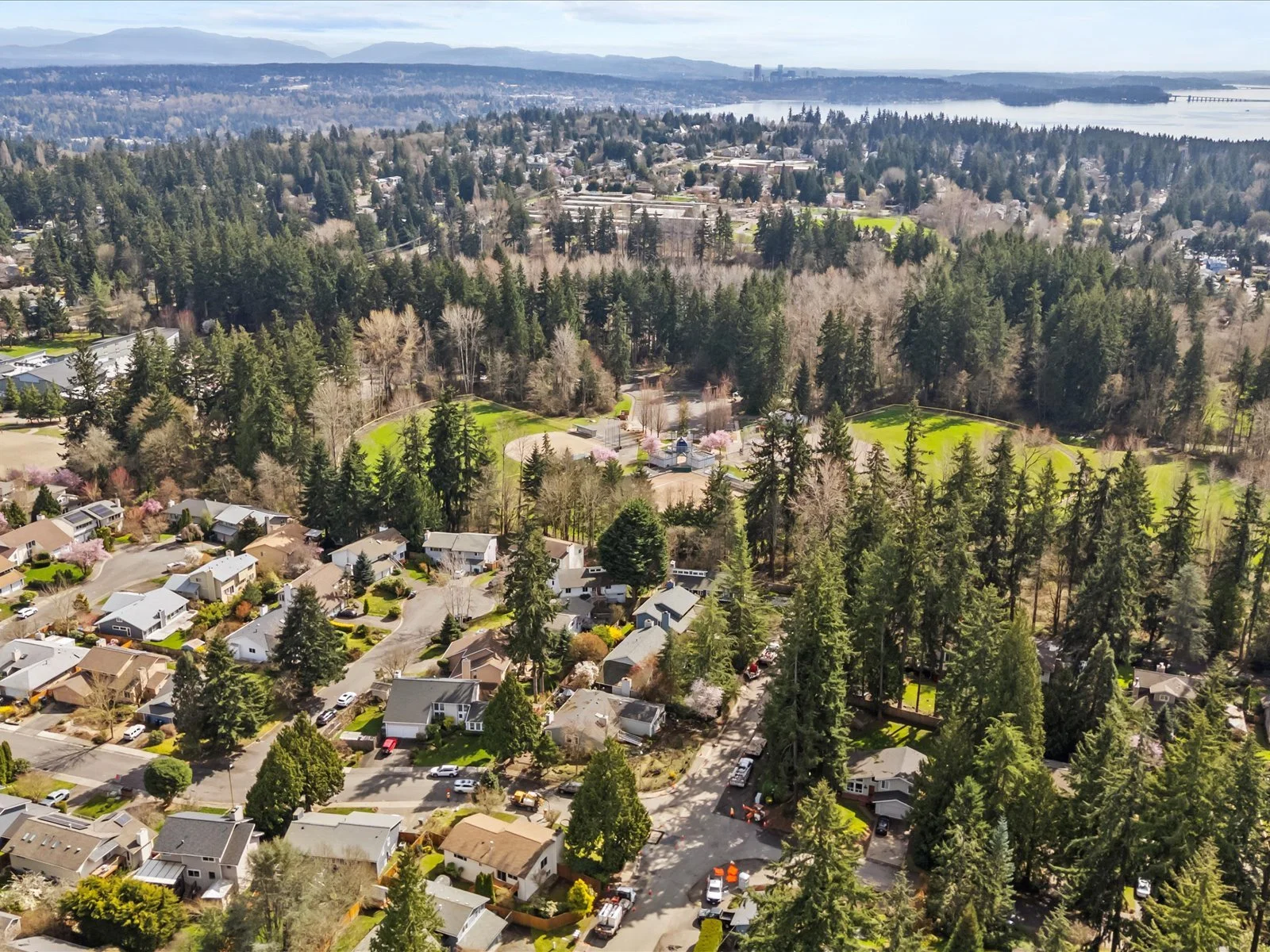 03-DJI_20250325143658_0021_D.jpg