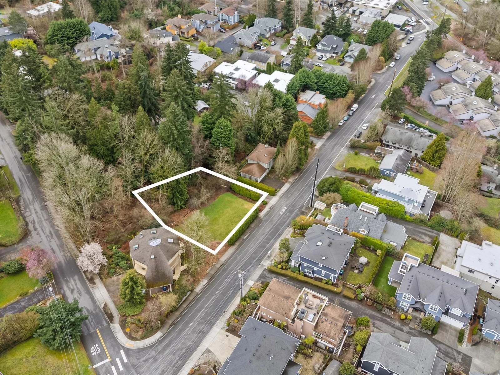 03-DJI_20250310122514_0015_D-Edit.jpg