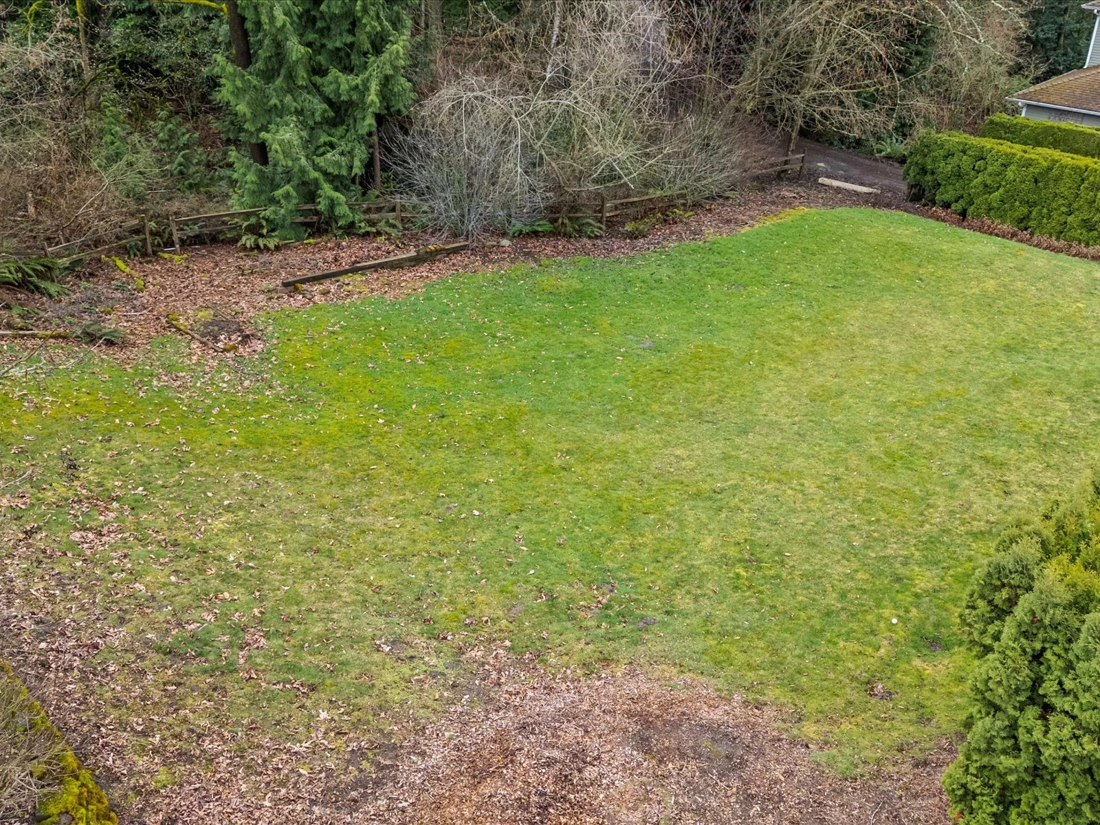 19-DJI_20250310122218_0003_D.jpg