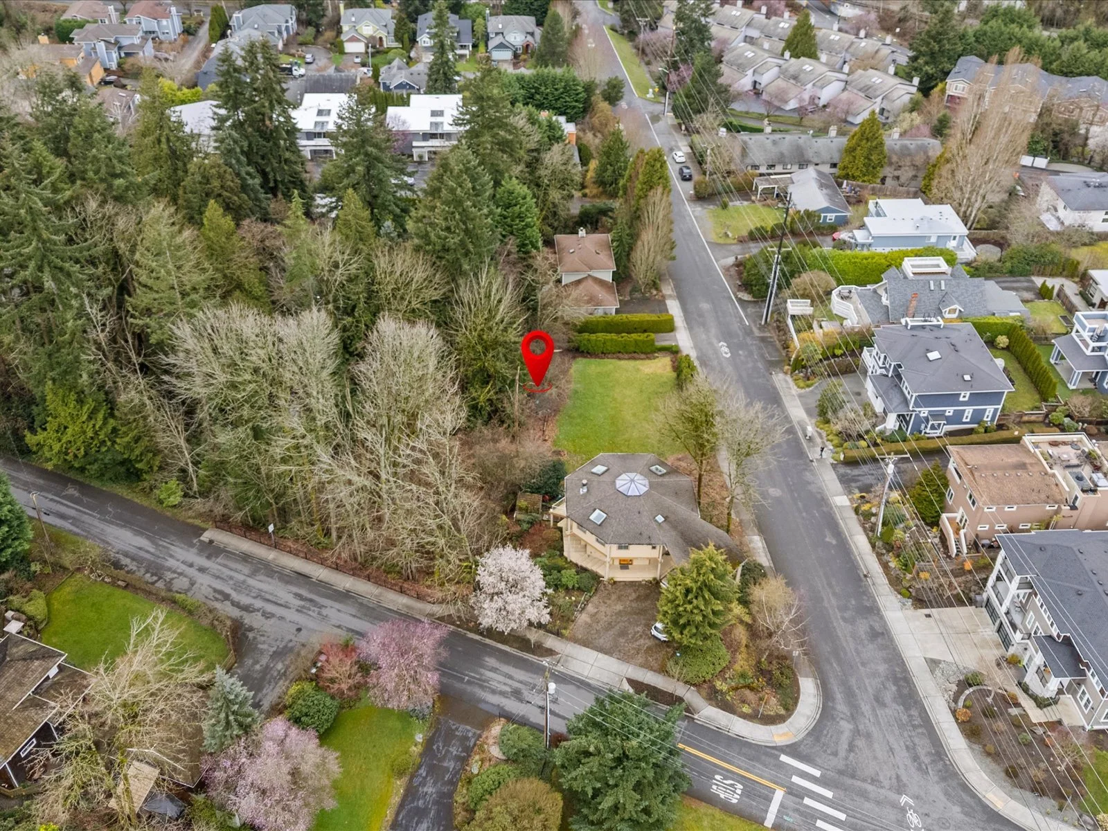13-DJI_20250310122820_0030_D-Edit.jpg