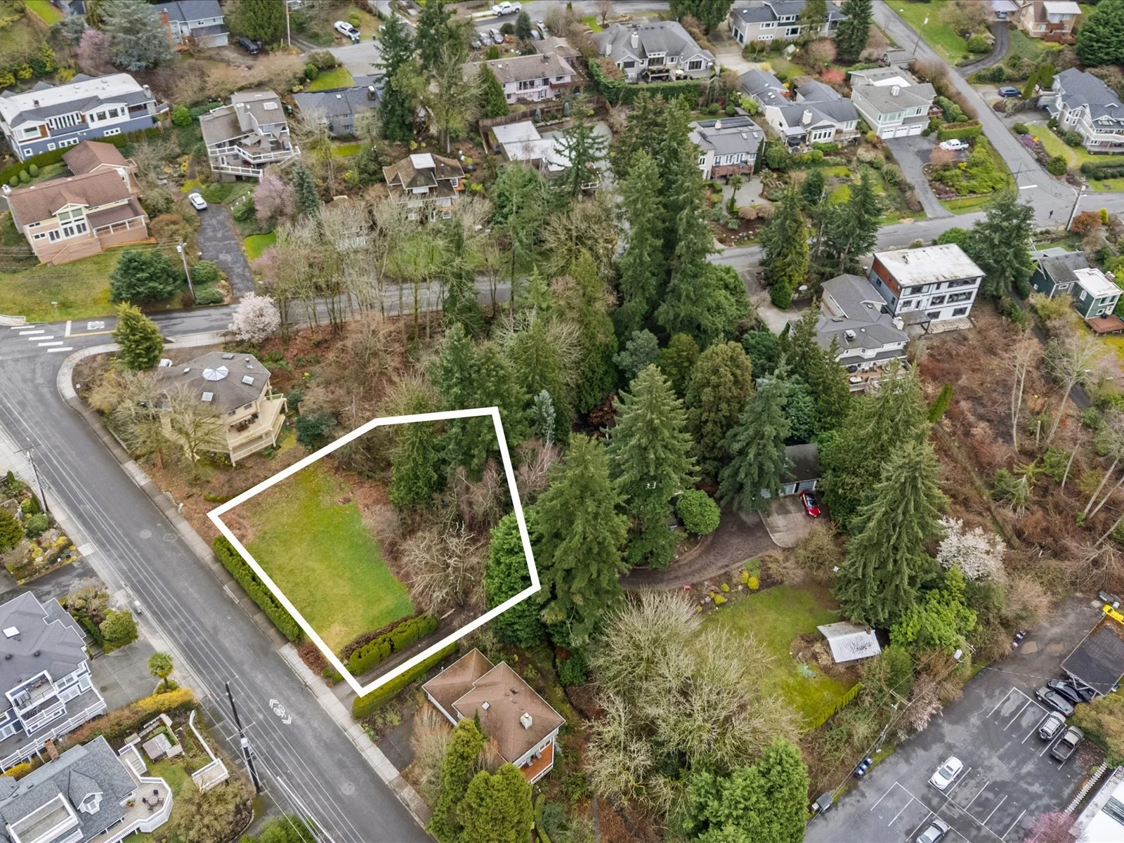 07-DJI_20250310122651_0021_D-Edit.jpg