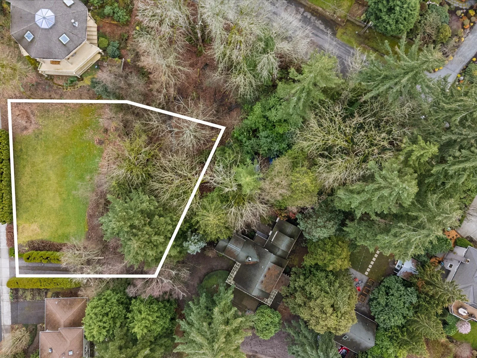01-DJI_20250310123013_0039_D-Edit.jpg