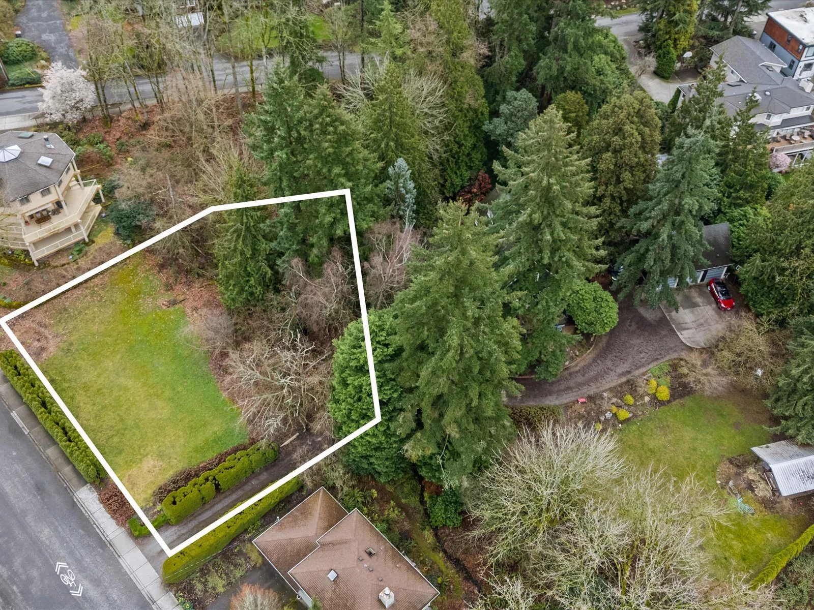 09-DJI_20250310122713_0024_D-Edit.jpg