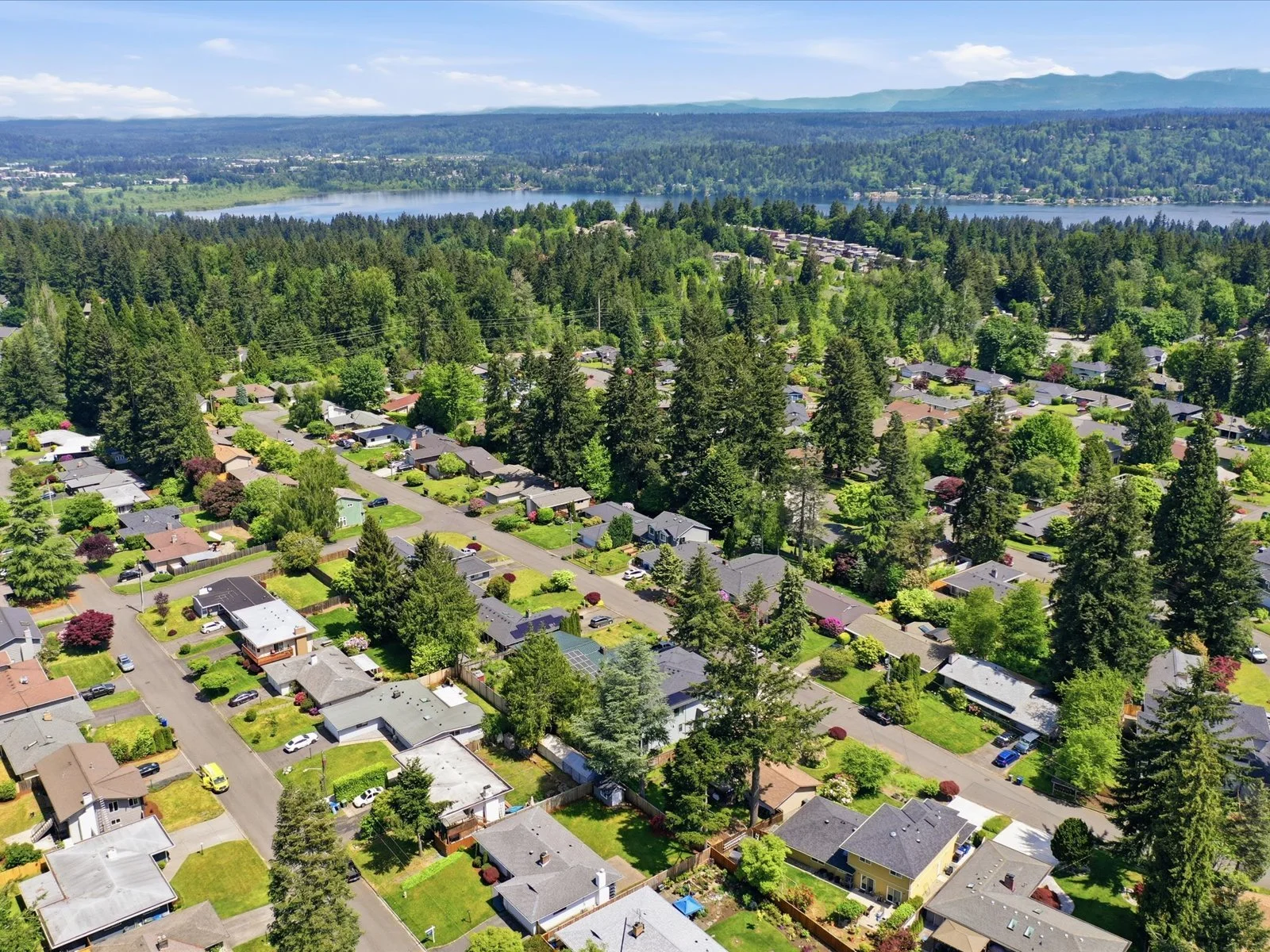 01-DJI_0787-2.jpg