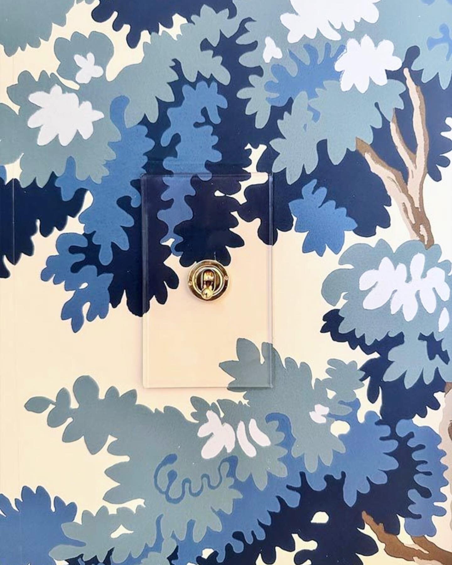 Just a few of my favorite things from a recent project&hellip;Raphael Blue from @scalamandre and a Forbes and Lomax light switch to match. Is there anything better?
 
#ianthacarley #ianthacarleyinteriors #properpaintandpaper #wallpaper #forbesandloma