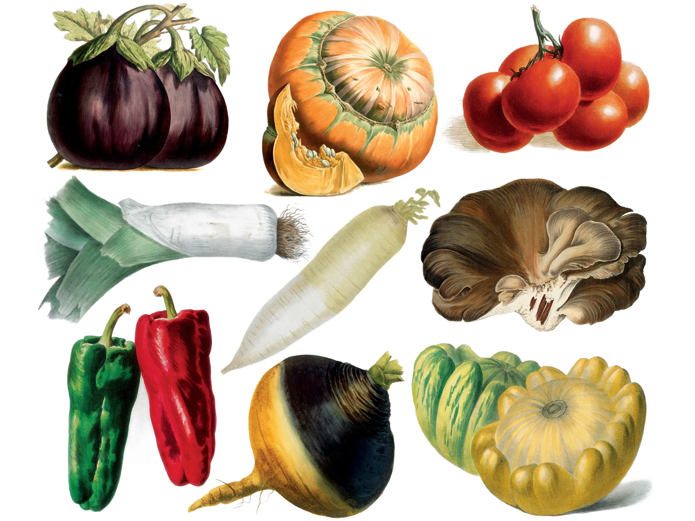 DMD_V is for Veg_150_2.jpg