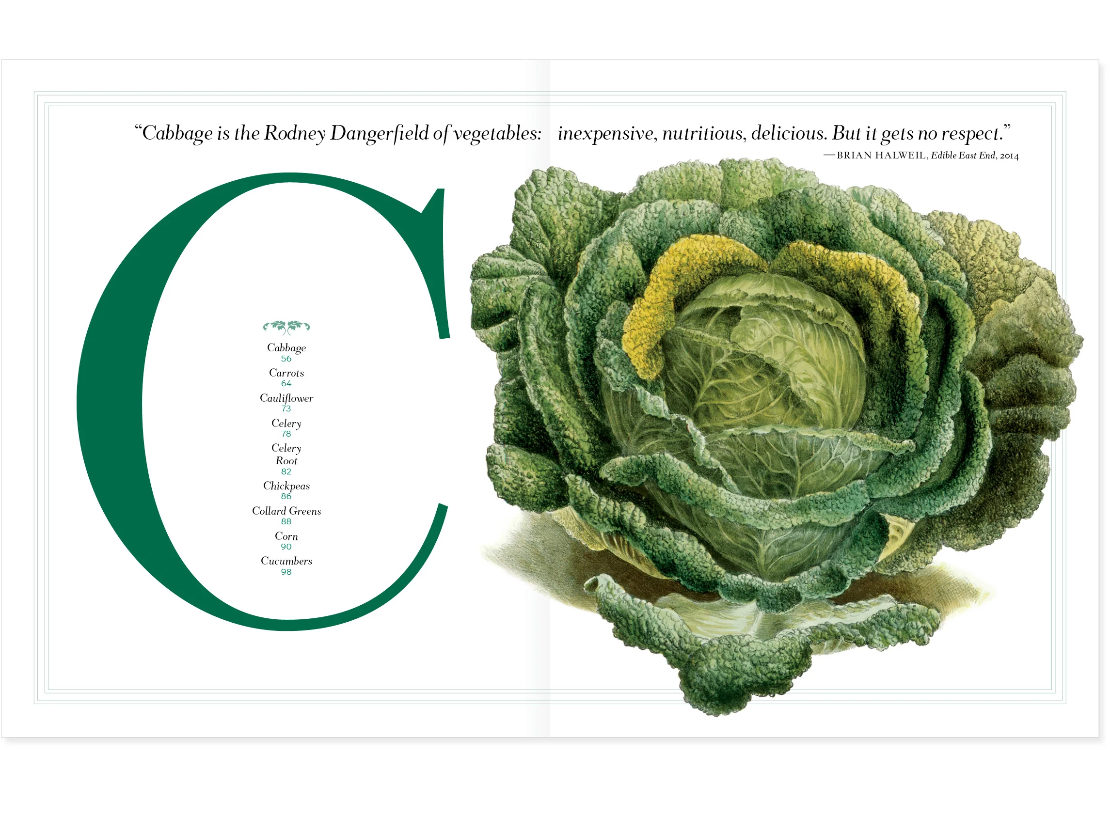 DMD_V is for Veg_150_18.jpg