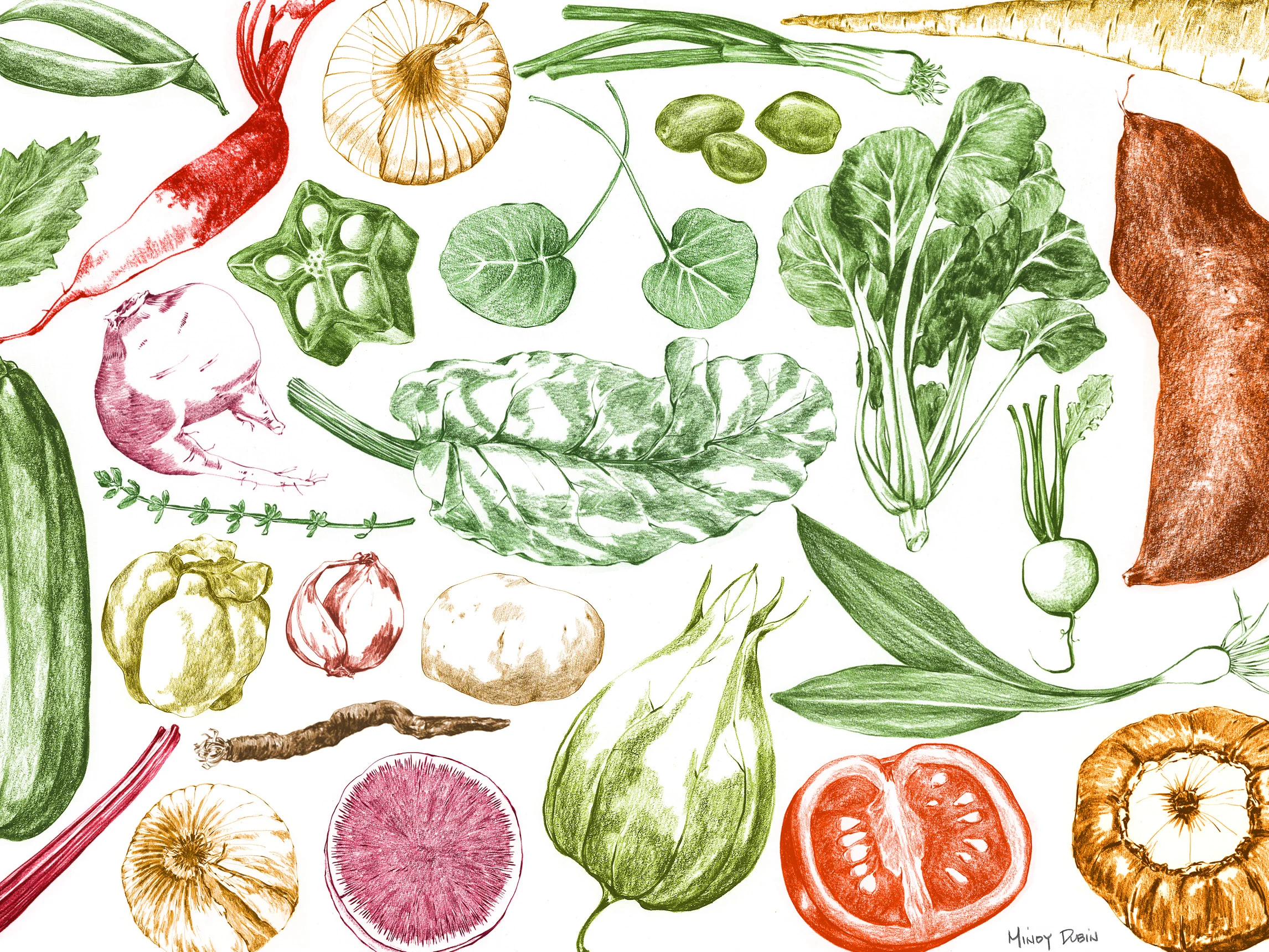 DMD_V is for Veg_150_55.jpg