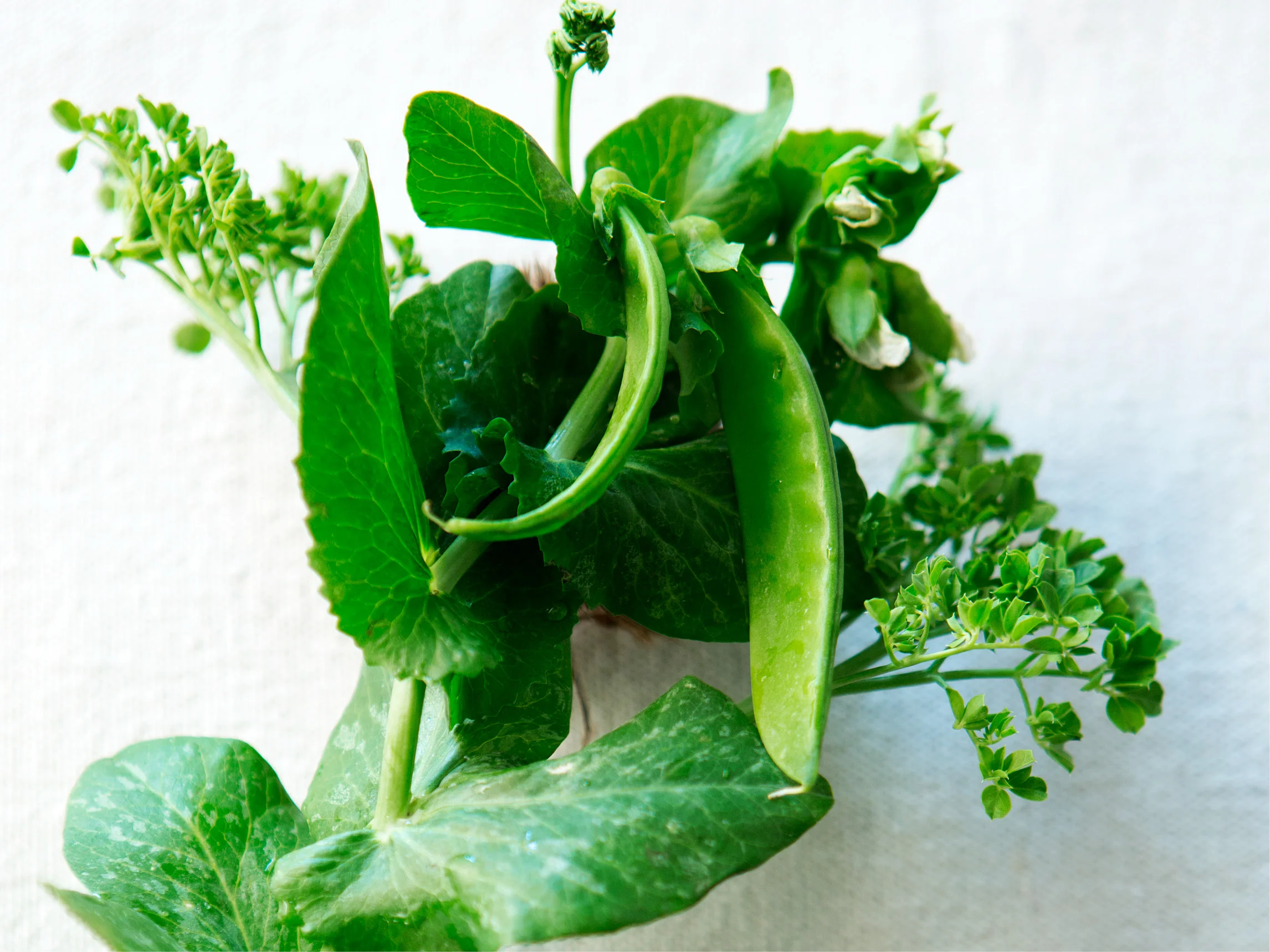 DMD_V is for Veg_150_44.jpg
