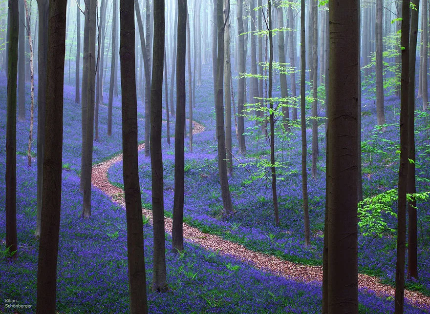 amazing-paths-2.jpg