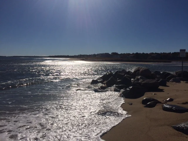 Finding Reason in Entrepreneurship