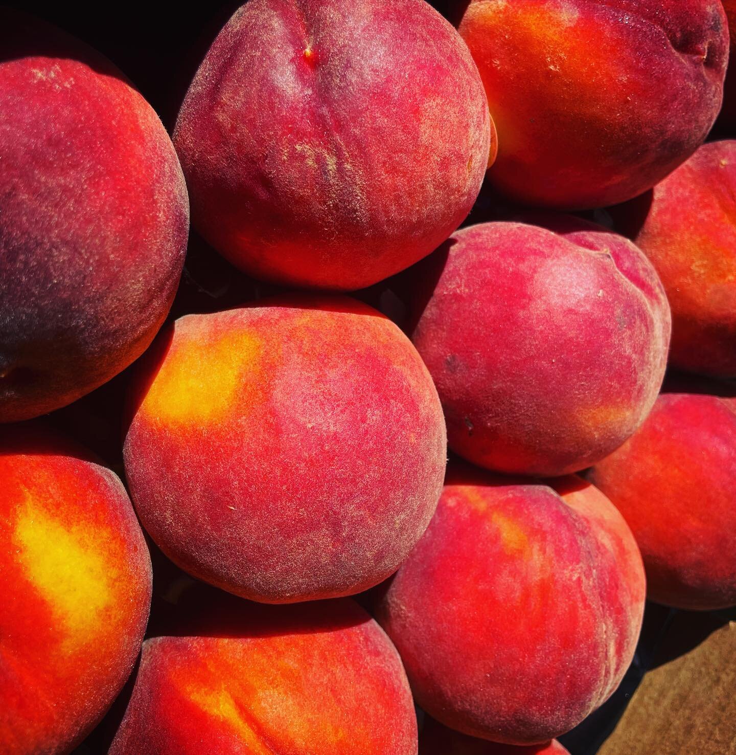 The #organic #SummerGlory 🍑 were just delivered! 🌞 😋 #jamonit #alamedafruitco #peachjam #eastbayeats #ediblemagazine #bestofalameda #jam #madeinalameda #preserves #seasonaleats