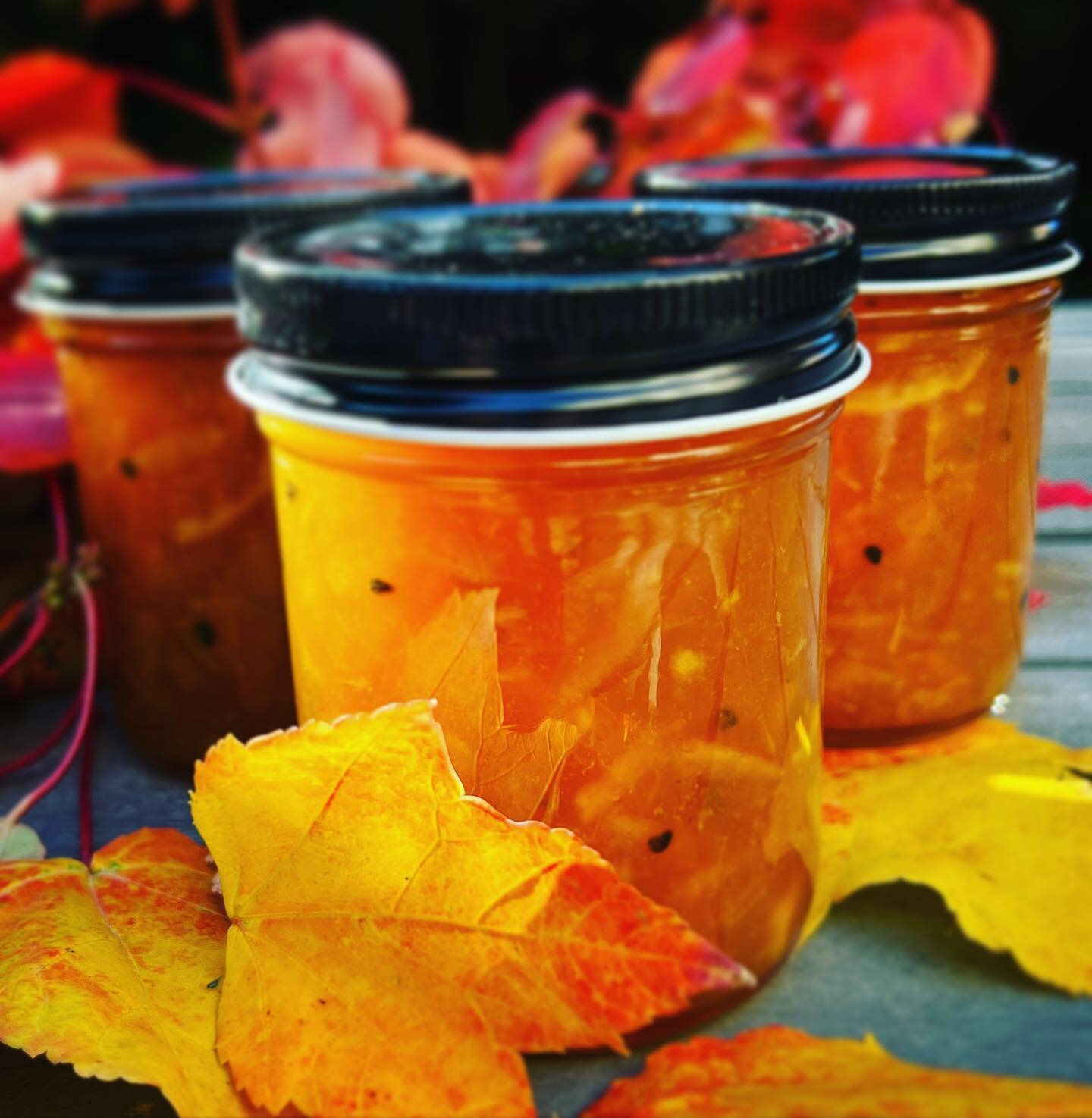Feels like Fall in the Bay Area 🍁 🍂 🍊 🥃 #orange #cardamom #bourbon #marmalade #alamedafruitco #marmalademamas #eastbayeats