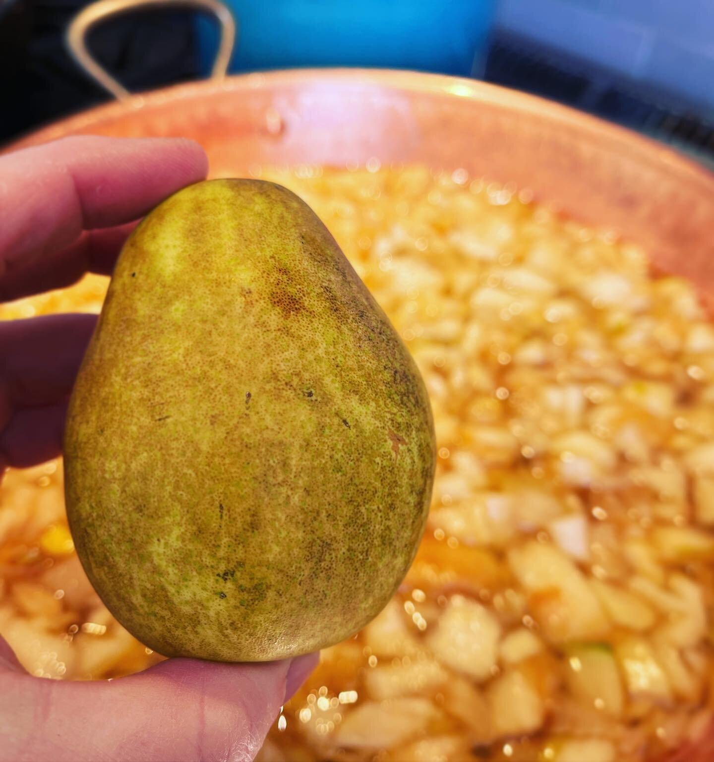 Pear Jam! 🍐🍋 💚 ☀️ #alamedafruitco #saturyay