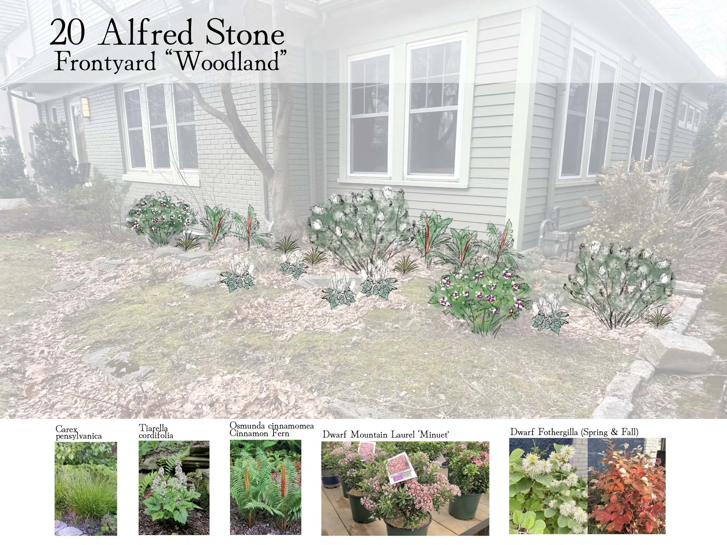 20 Alfred Stone Jen Liese Design Draft 1_Page_2.jpg