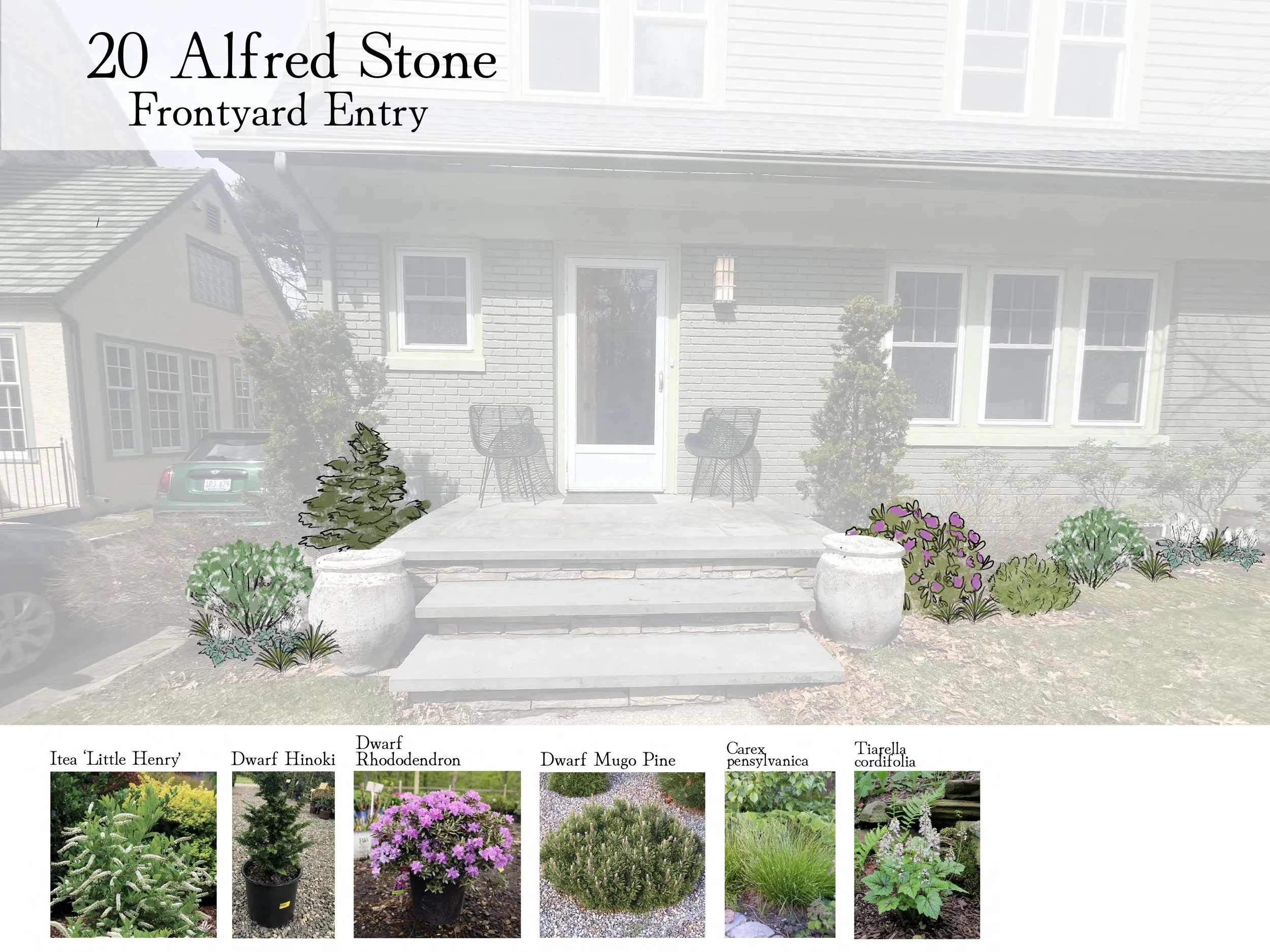20 Alfred Stone Jen Liese Design Draft 1_Page_1.jpg