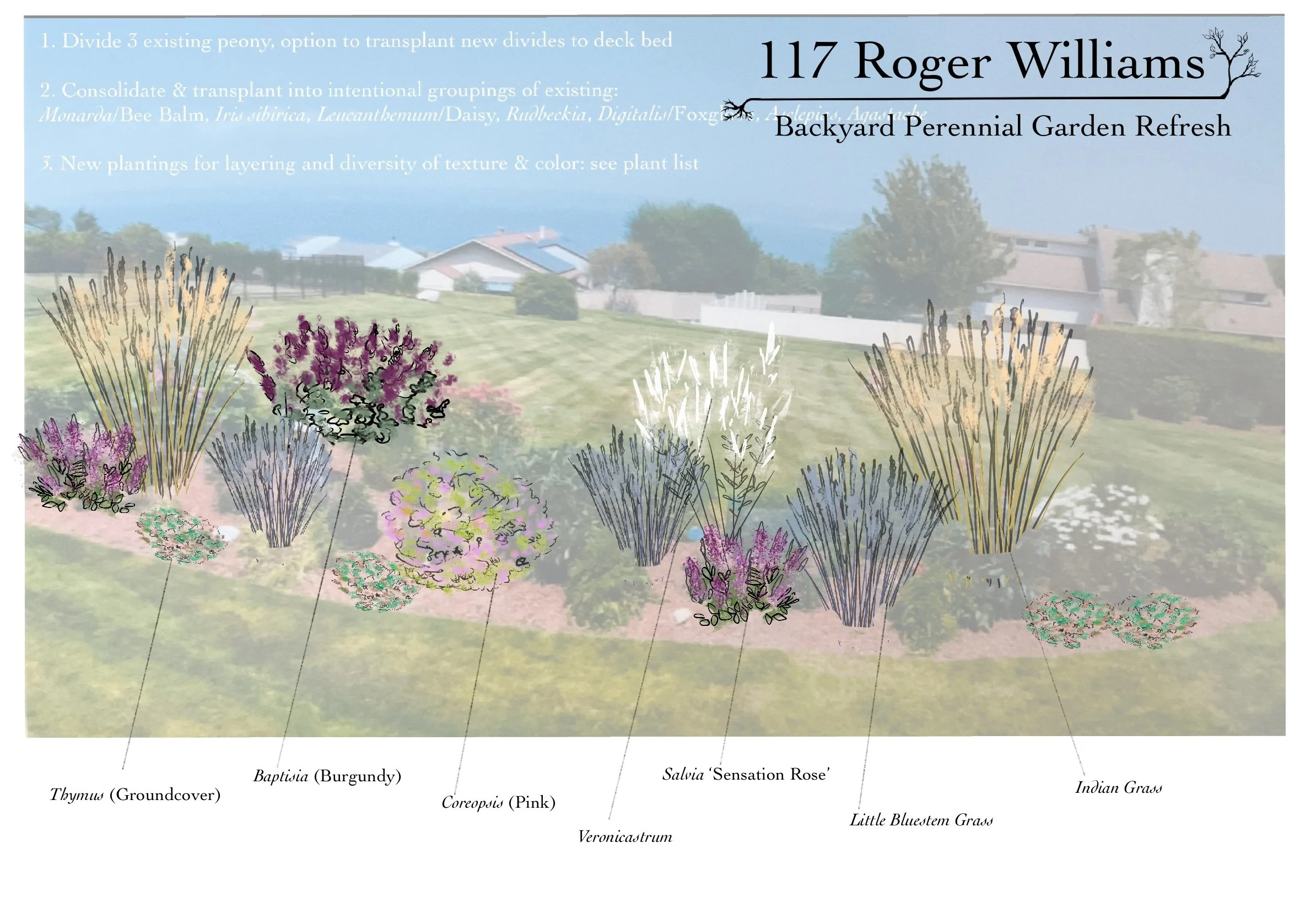 117_Roger_Williams_.jpg