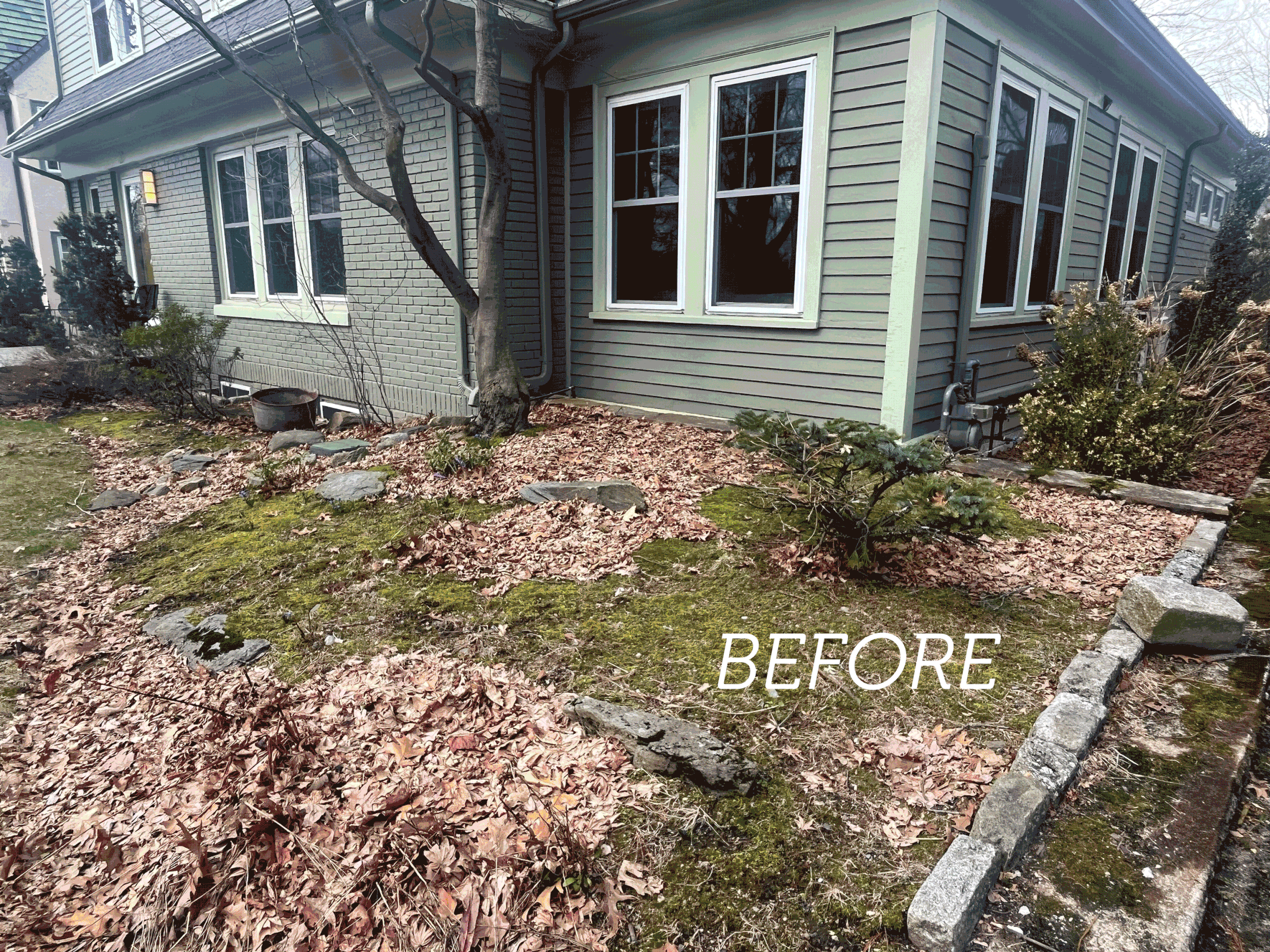 A petite front-yard design and installation in Providence, RI. 