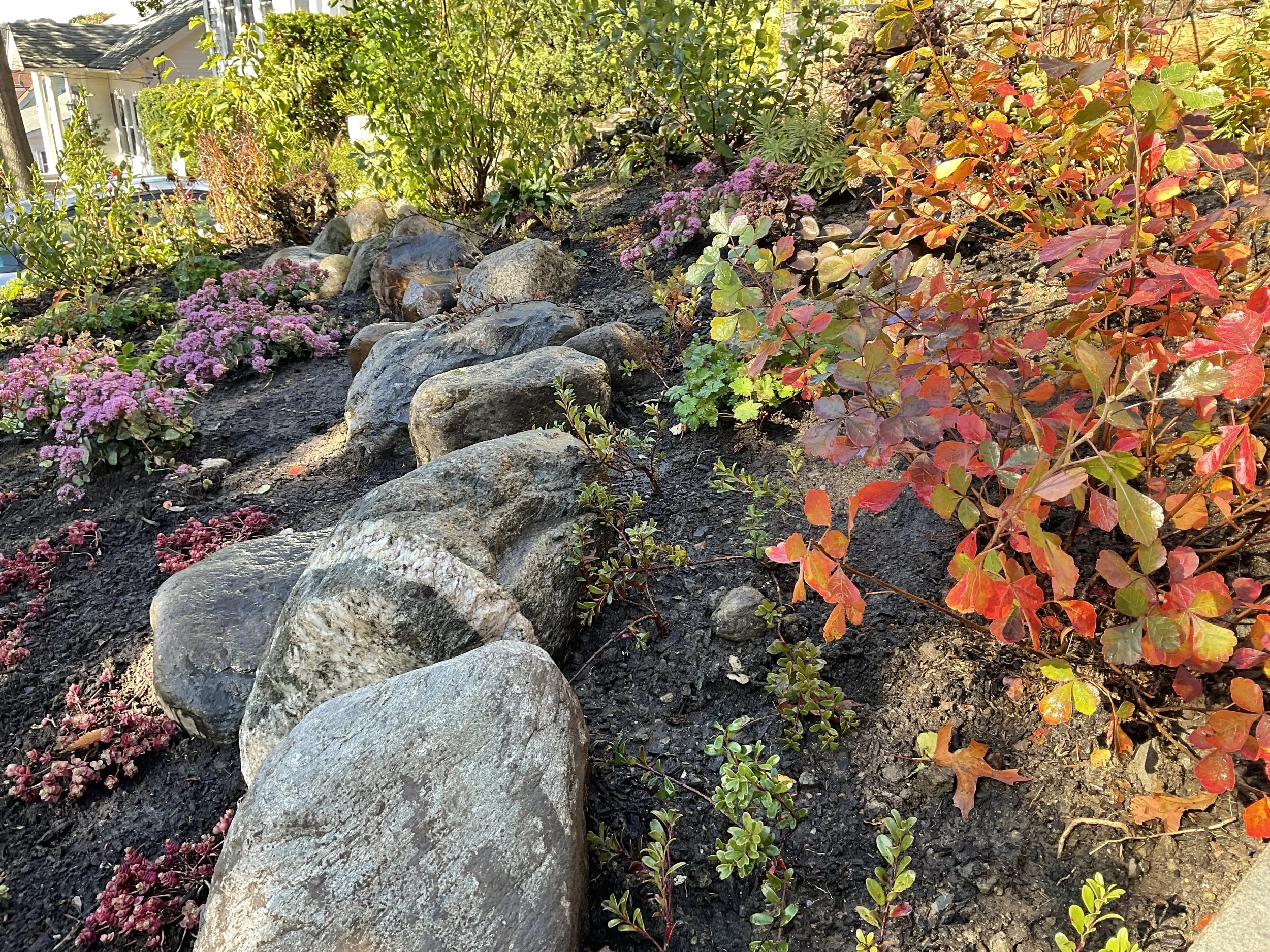 Even a tiny urban frontyard can feel expansive. Field boulders establish a terraced-style layering effect. Garden design by Lisa Perez, installation by Byleckie Horticultural Services.