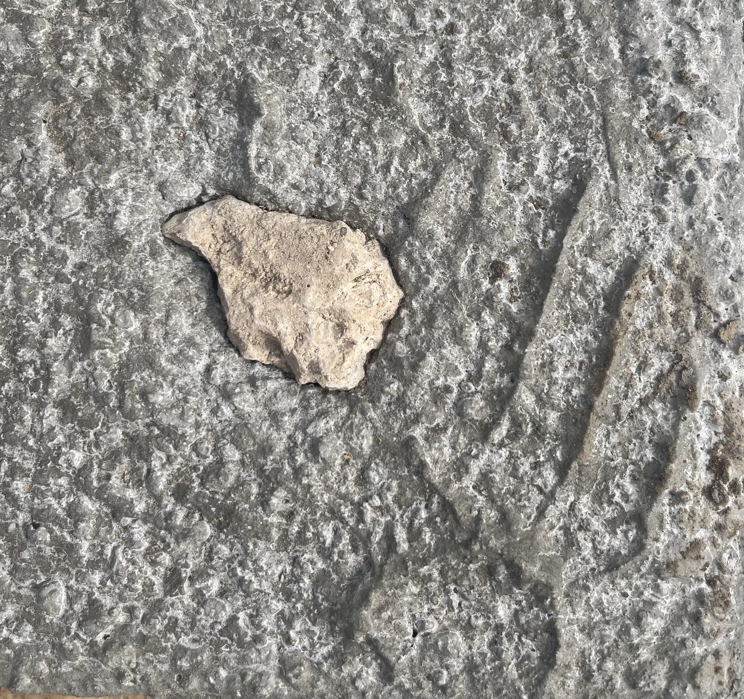 limestone hand detail.jpg