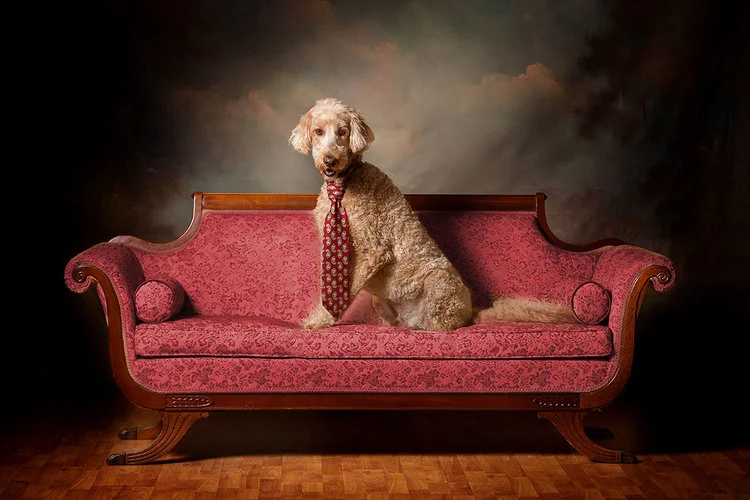 Potthast_Pets_doak.jpg