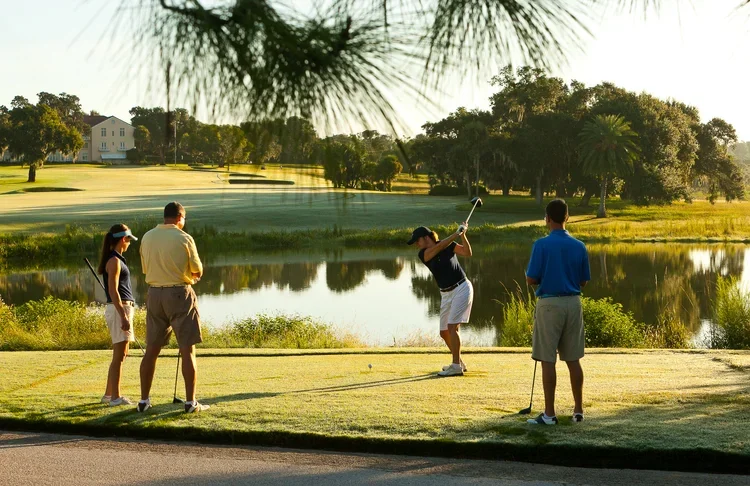potthast_golfsamples_0018.webp