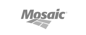 mosaic.webp