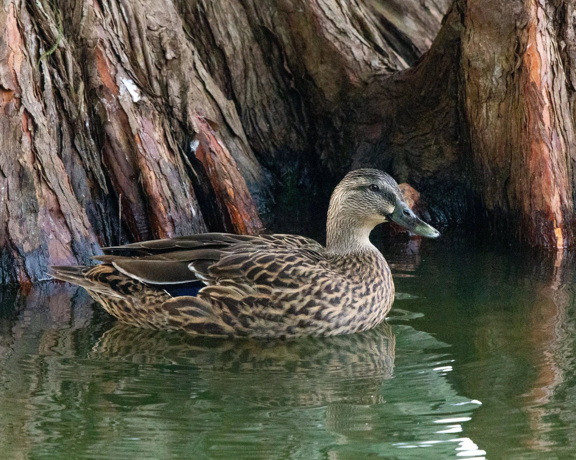 gj_2025_0109.jpg