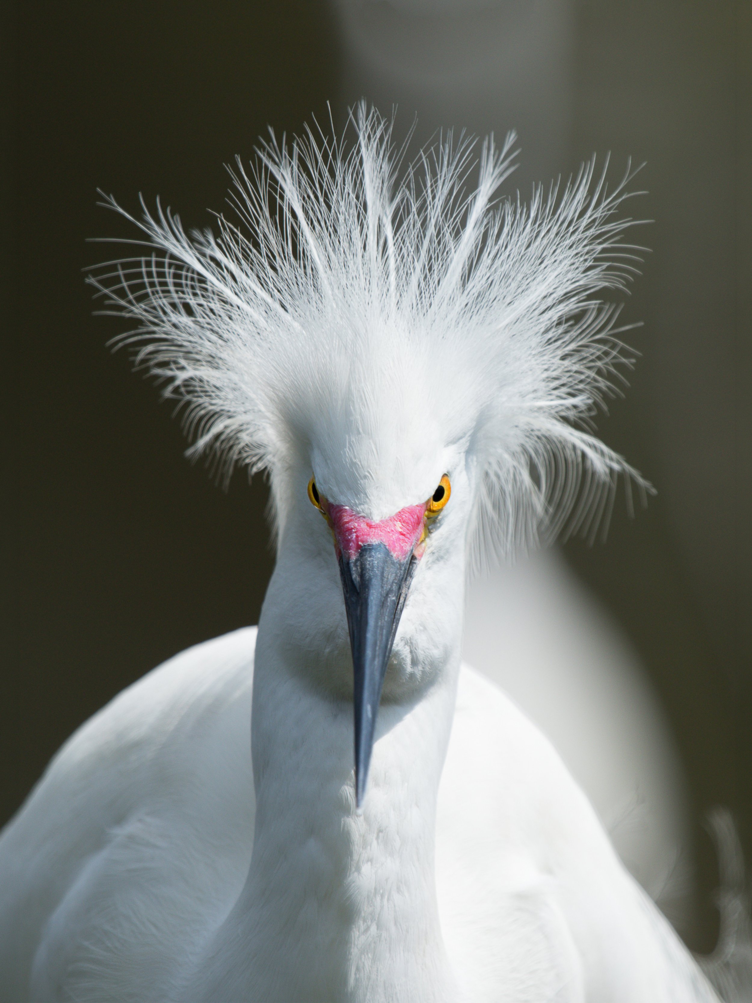 24x18 Metal Print (High Gloss)