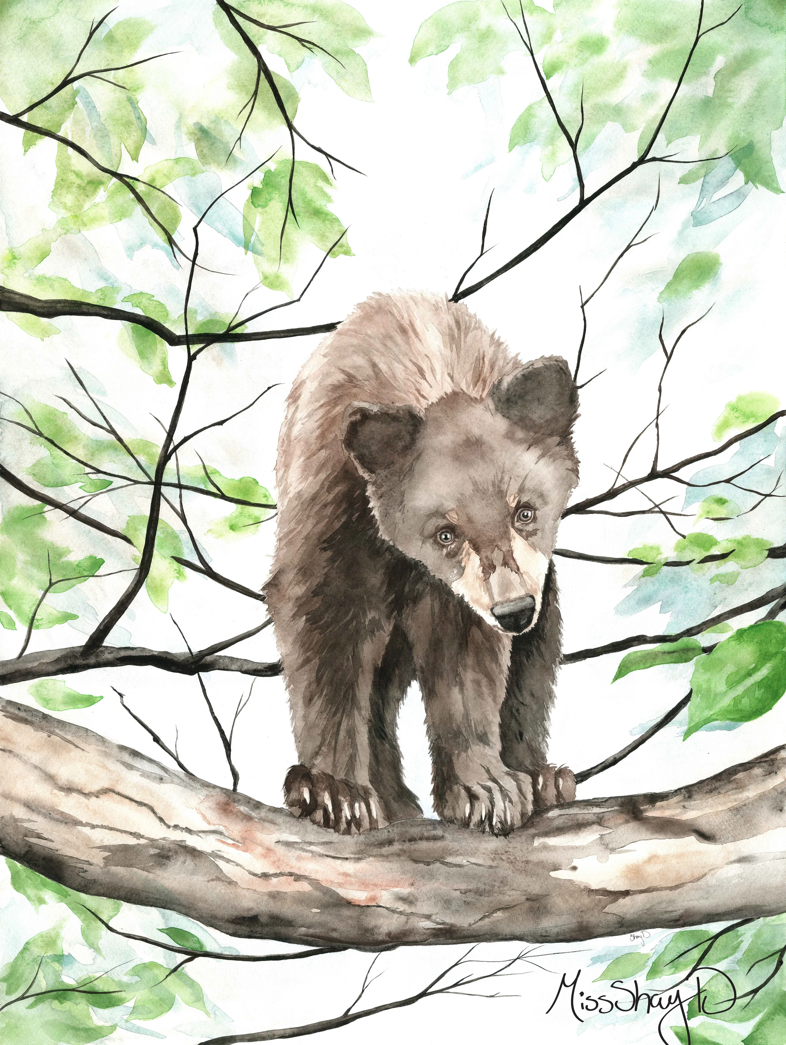 Bear.jpg