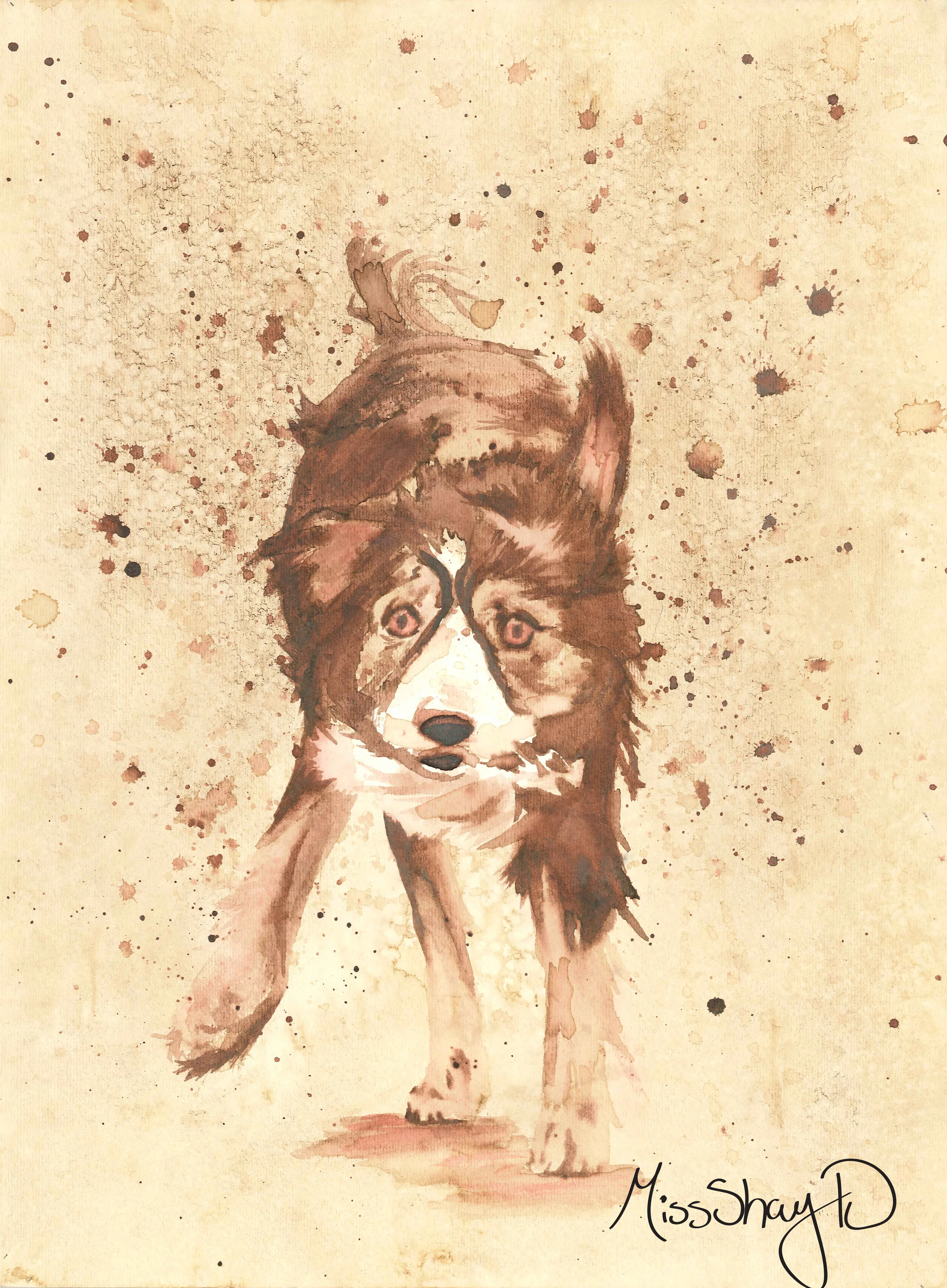 Dog.jpg
