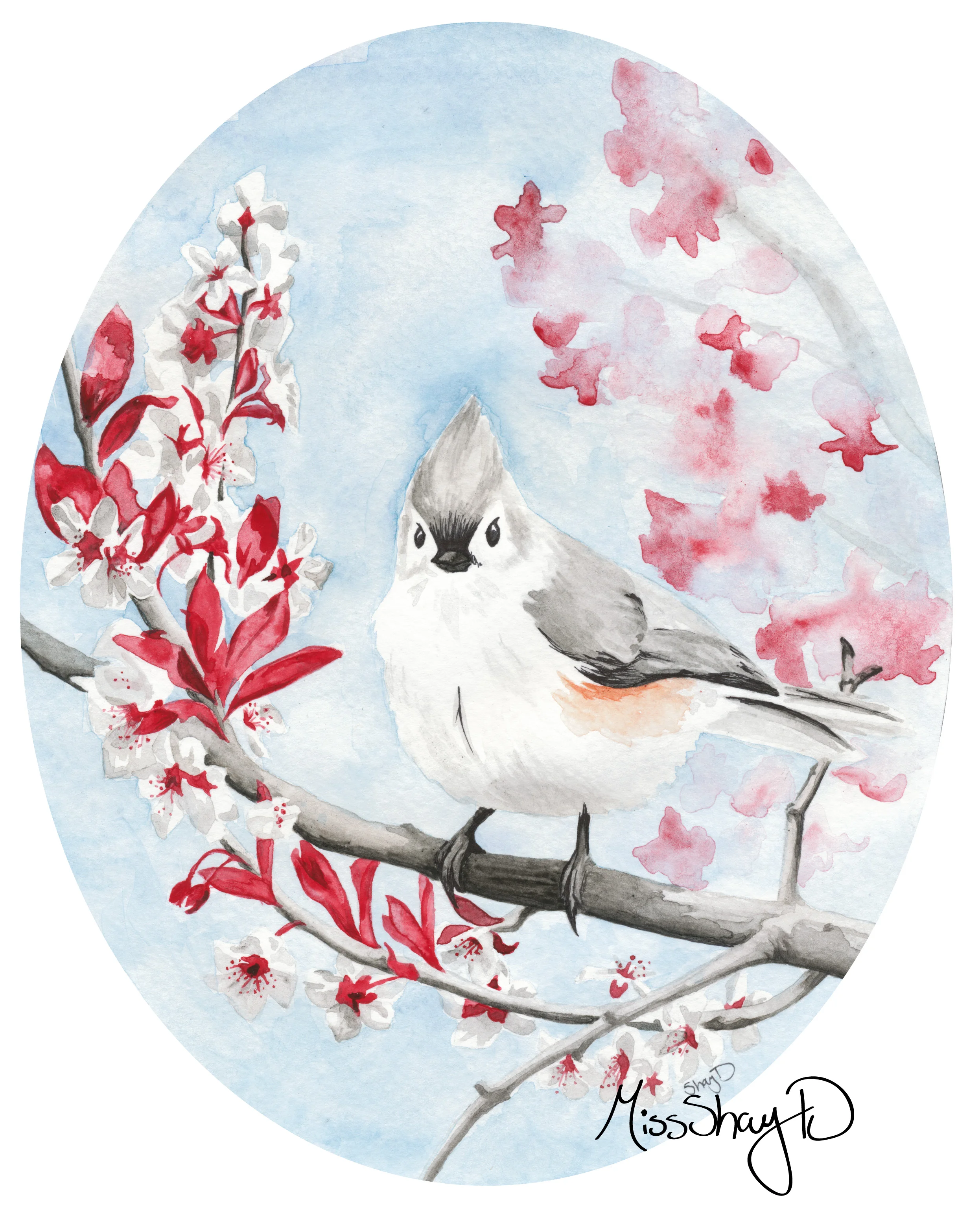 signedtuftedtitmouse.jpg