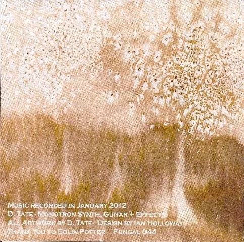 Darren Tate - Rotate 2.jpg