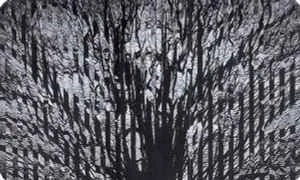 celer - honey moon 2.jpg