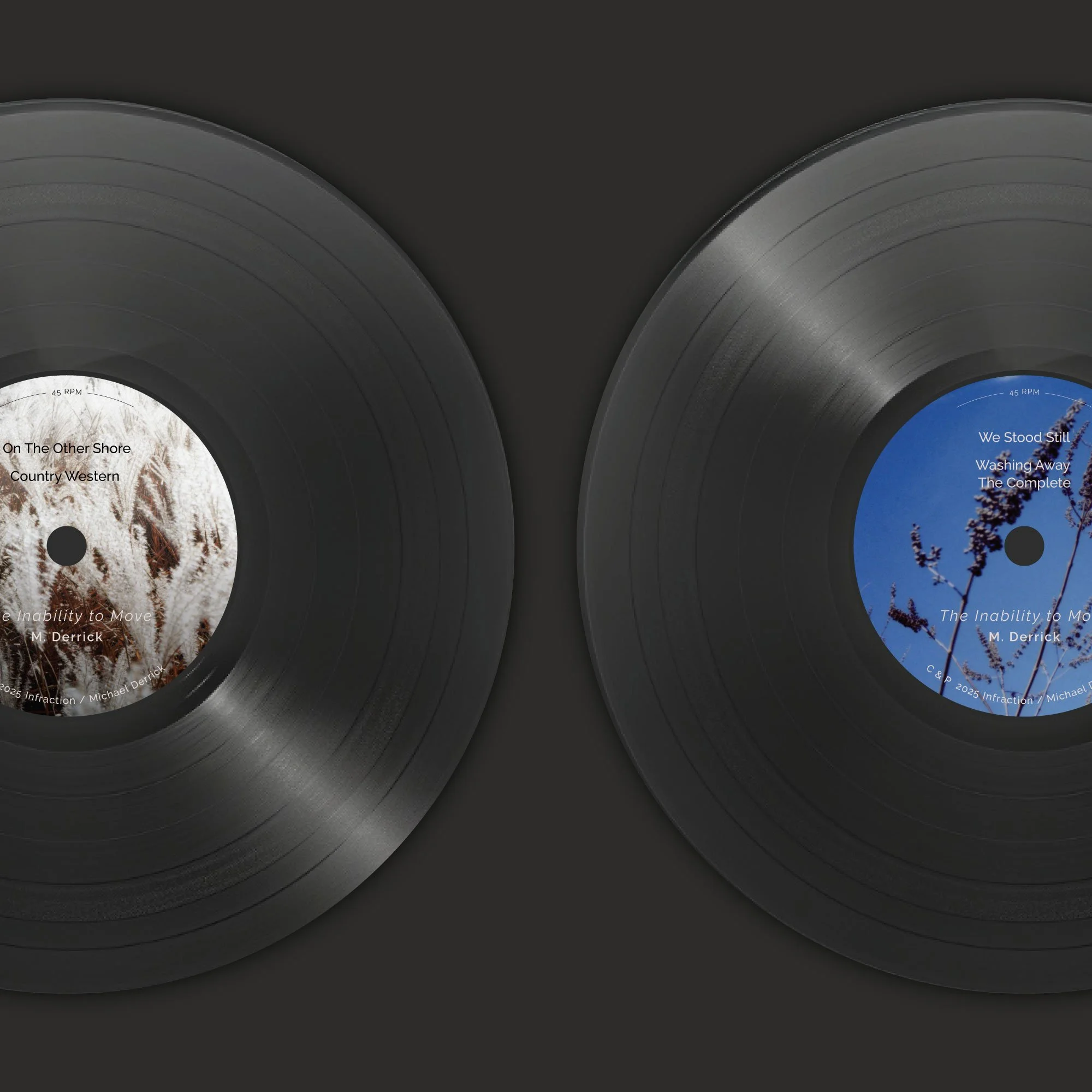 The-Inability-to-Move_vinyl.jpg
