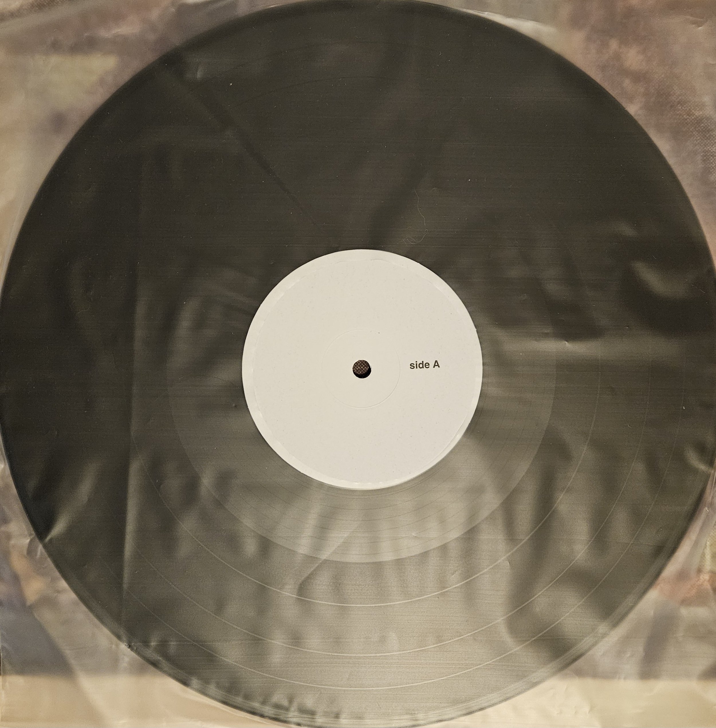 Willamette test 1 (1).jpg