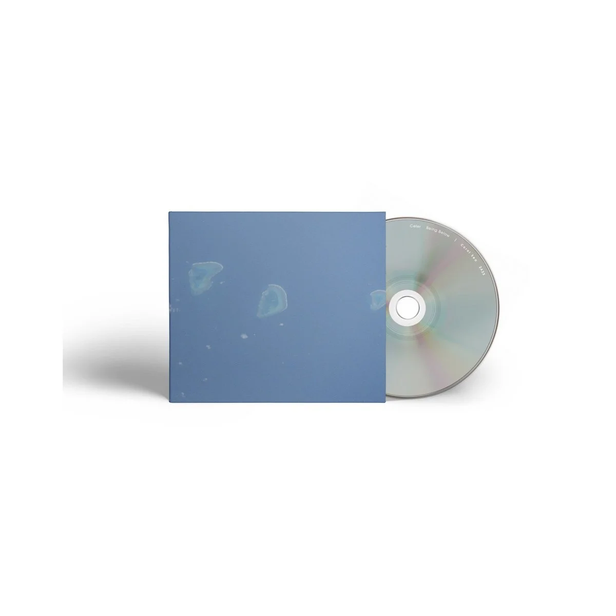 celer - coral sea 2.jpg