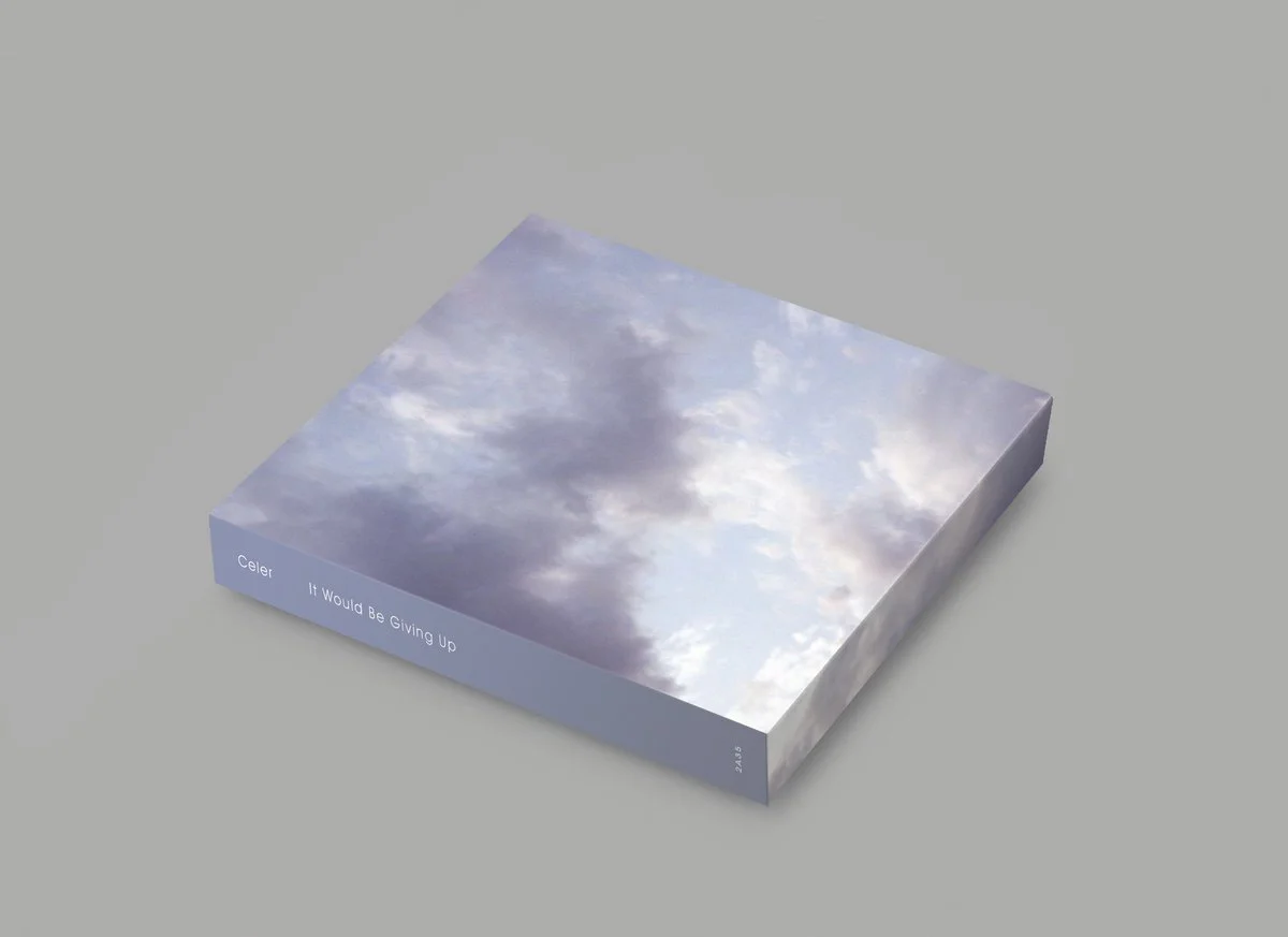 celer - it would be giving 2.jpg