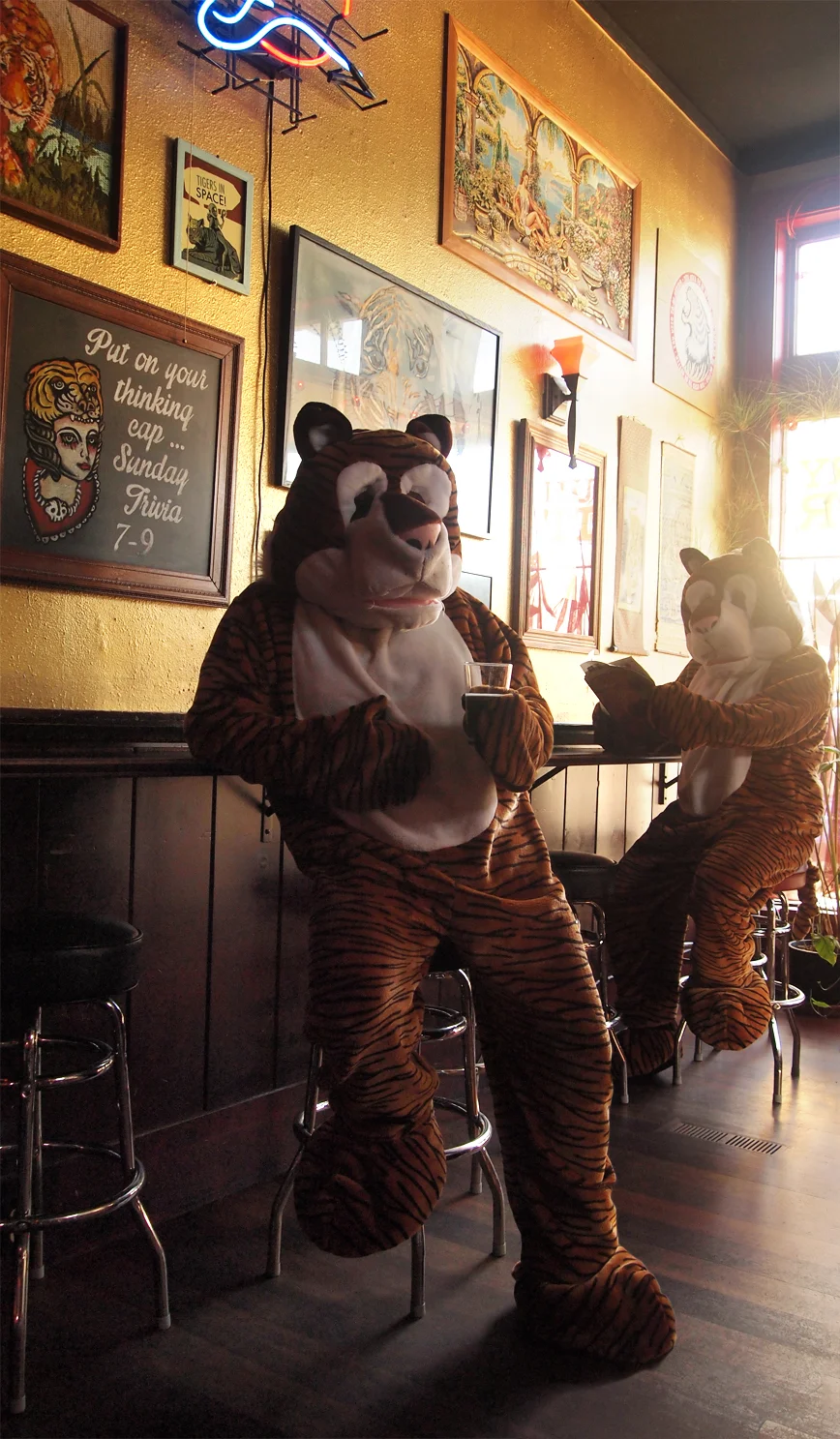 barfun.jpg