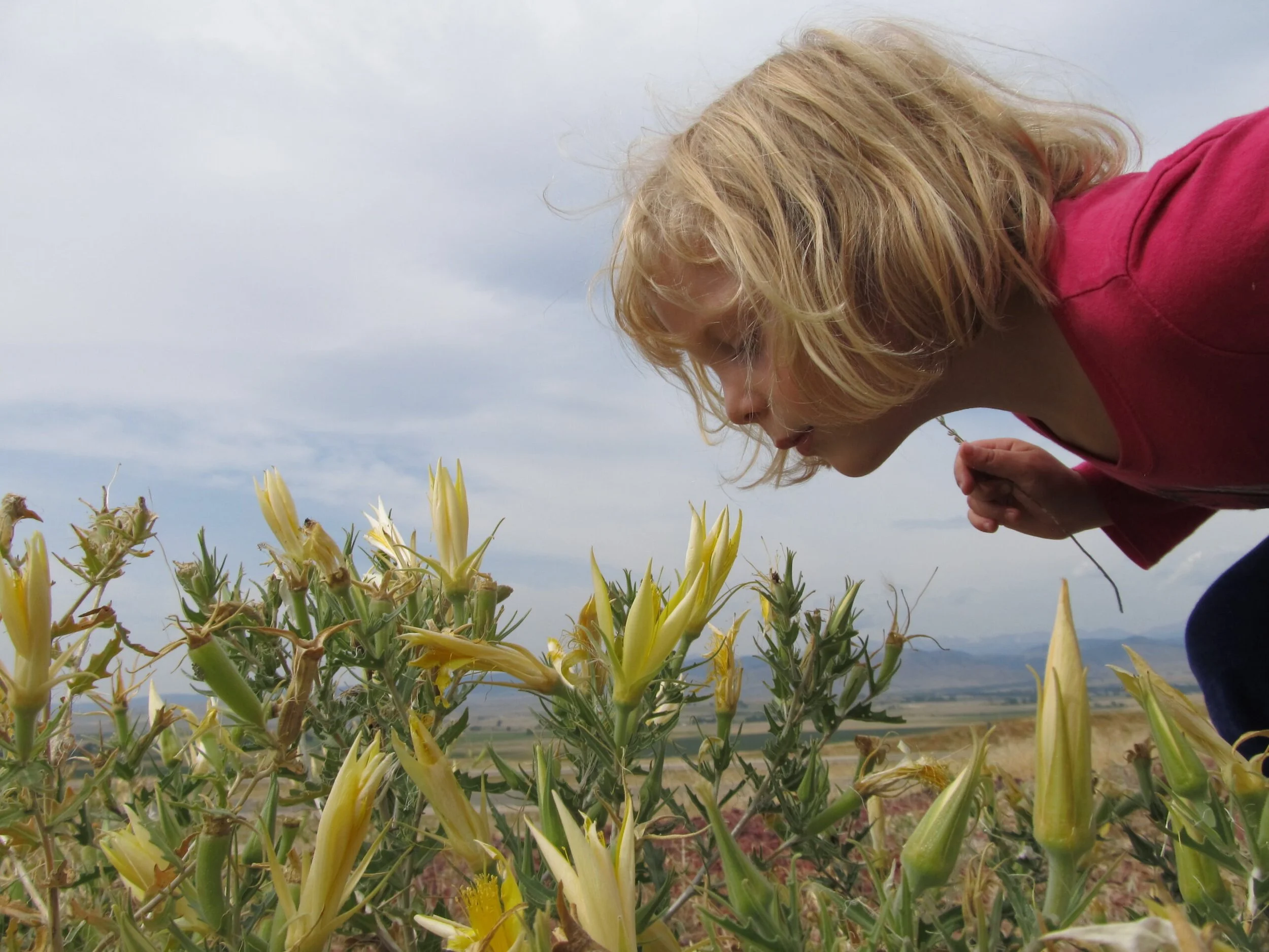 Let’s Talk Parenting: An 8-Week Jumpstart to Calmer, More Connected Family Life