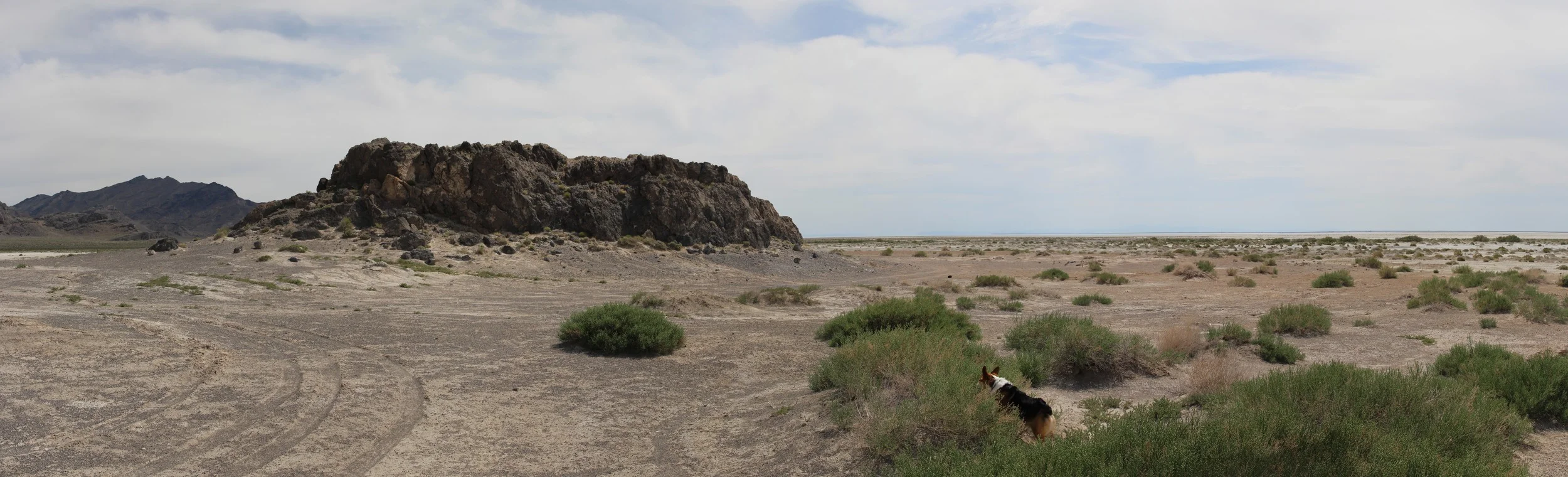 Untitled_Panorama8.jpg