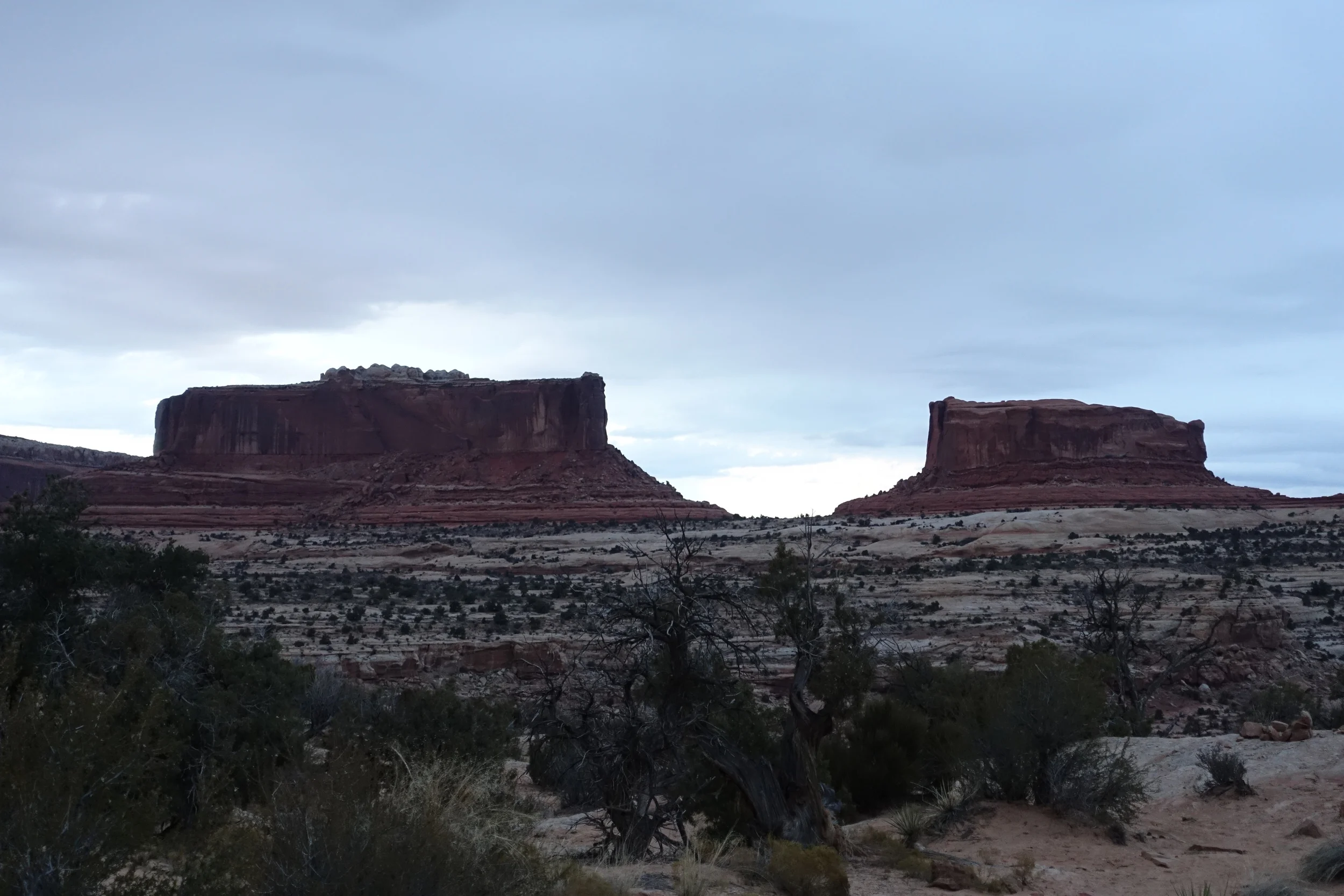 DSC00107.JPG