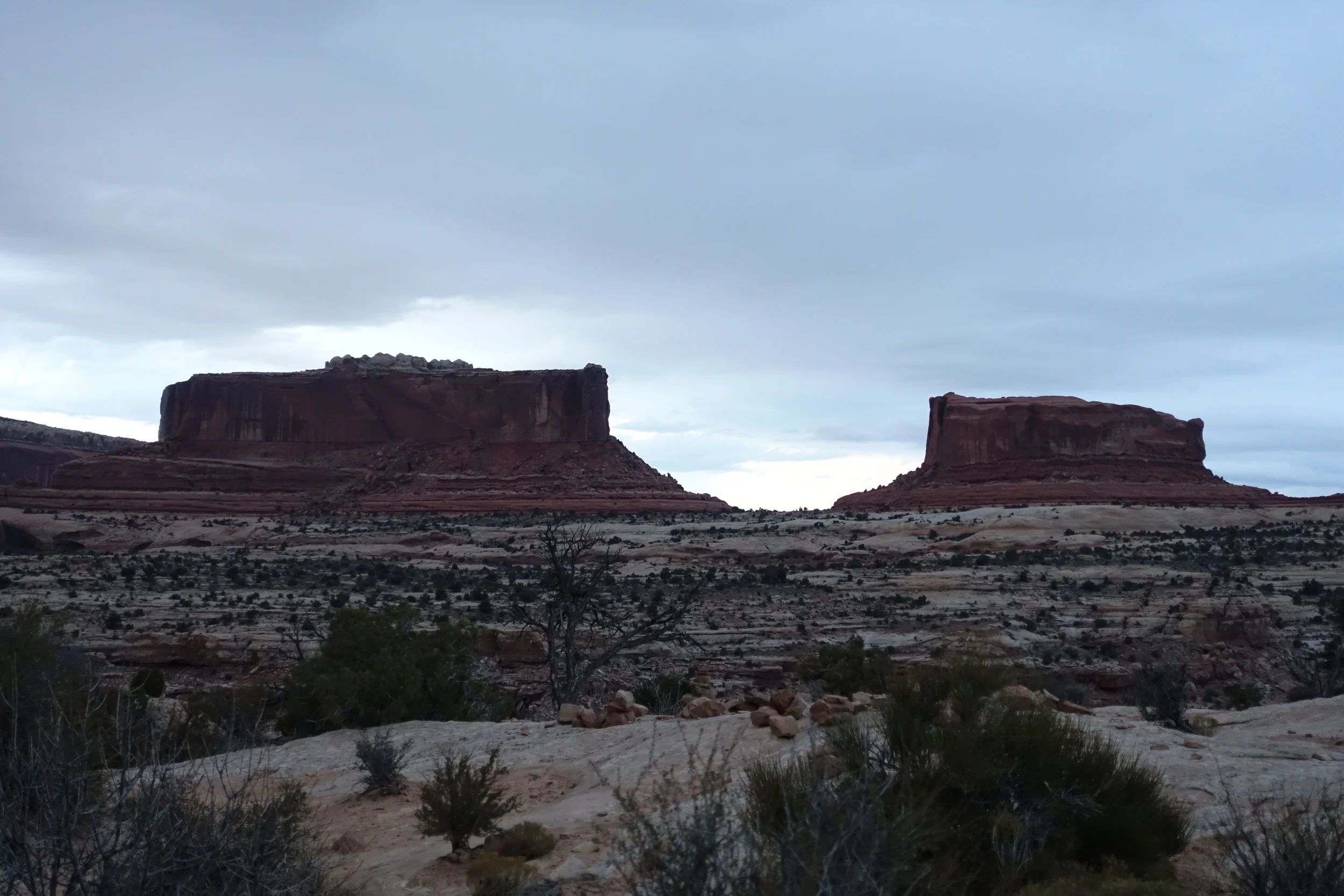 DSC00111.JPG
