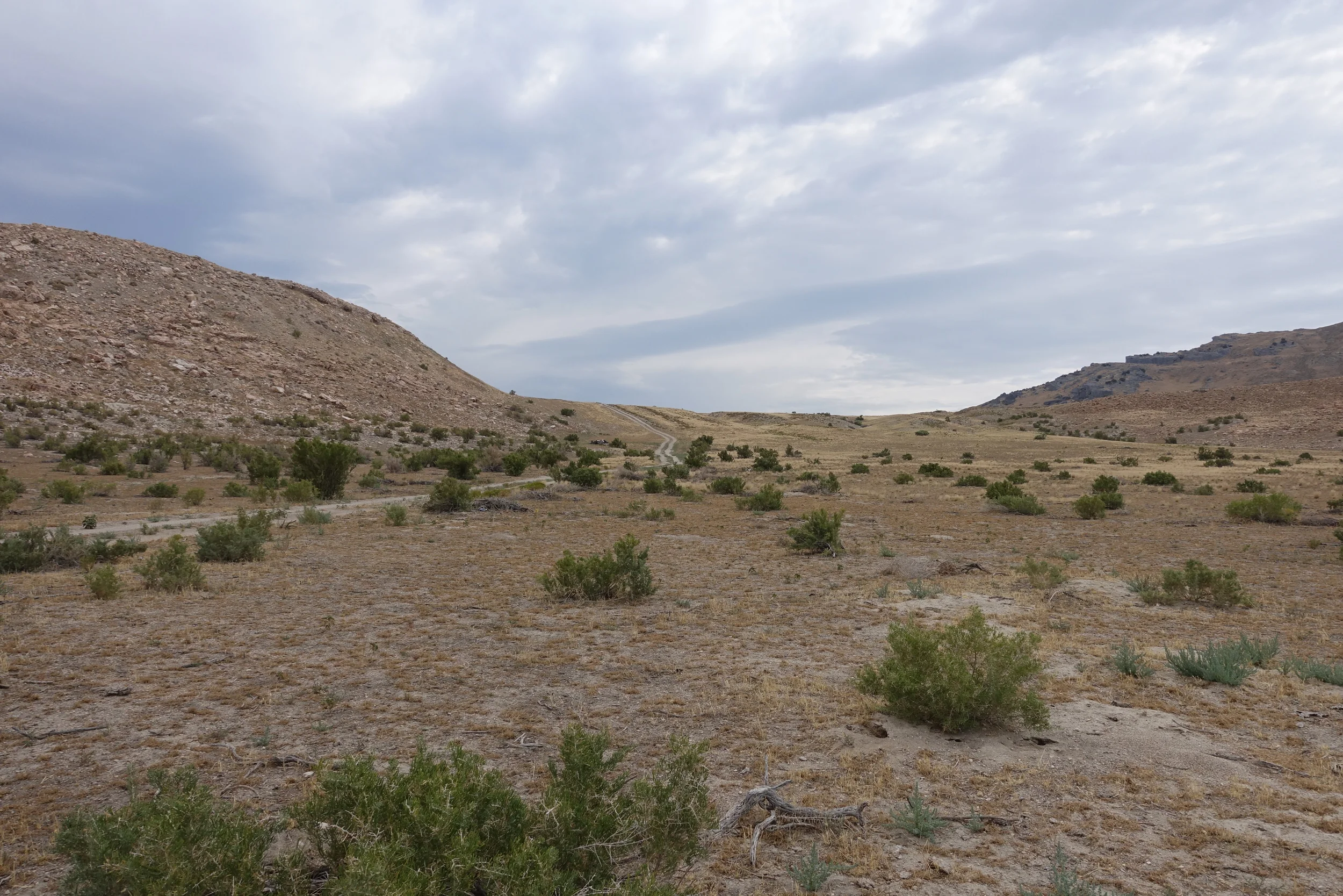 DSC00022.JPG