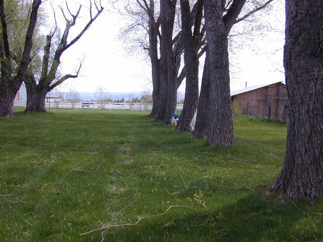 shean10.jpg
