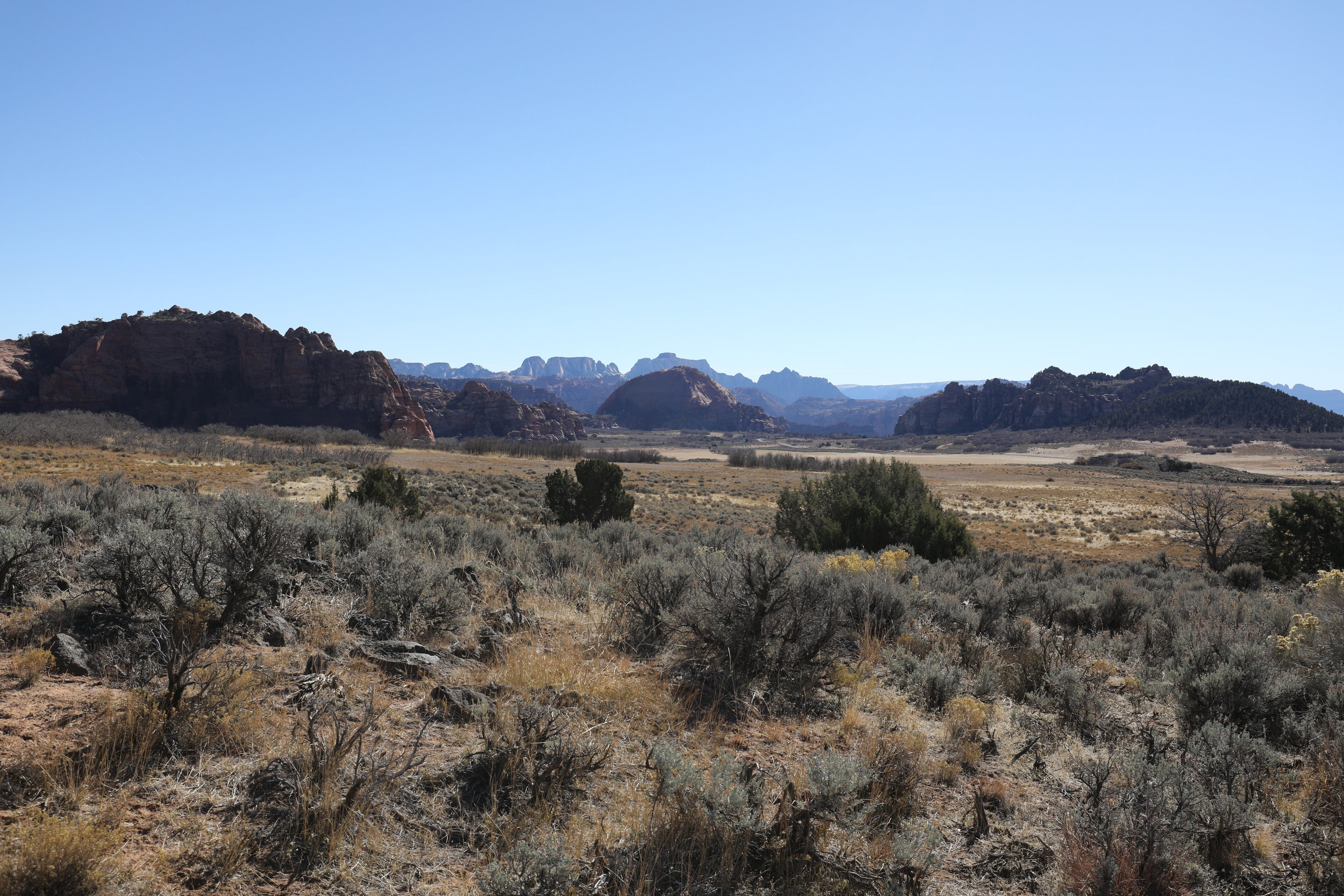 210A0222.JPG