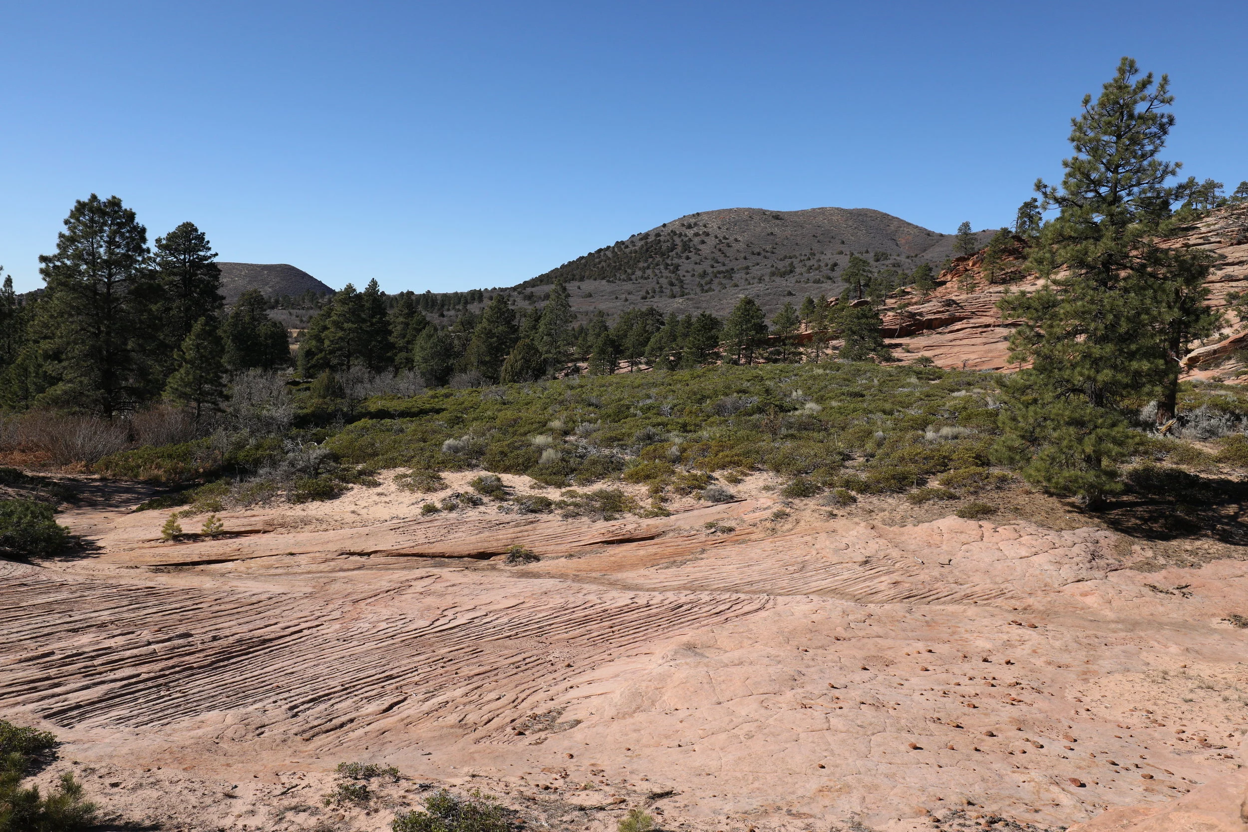 210A0191.JPG
